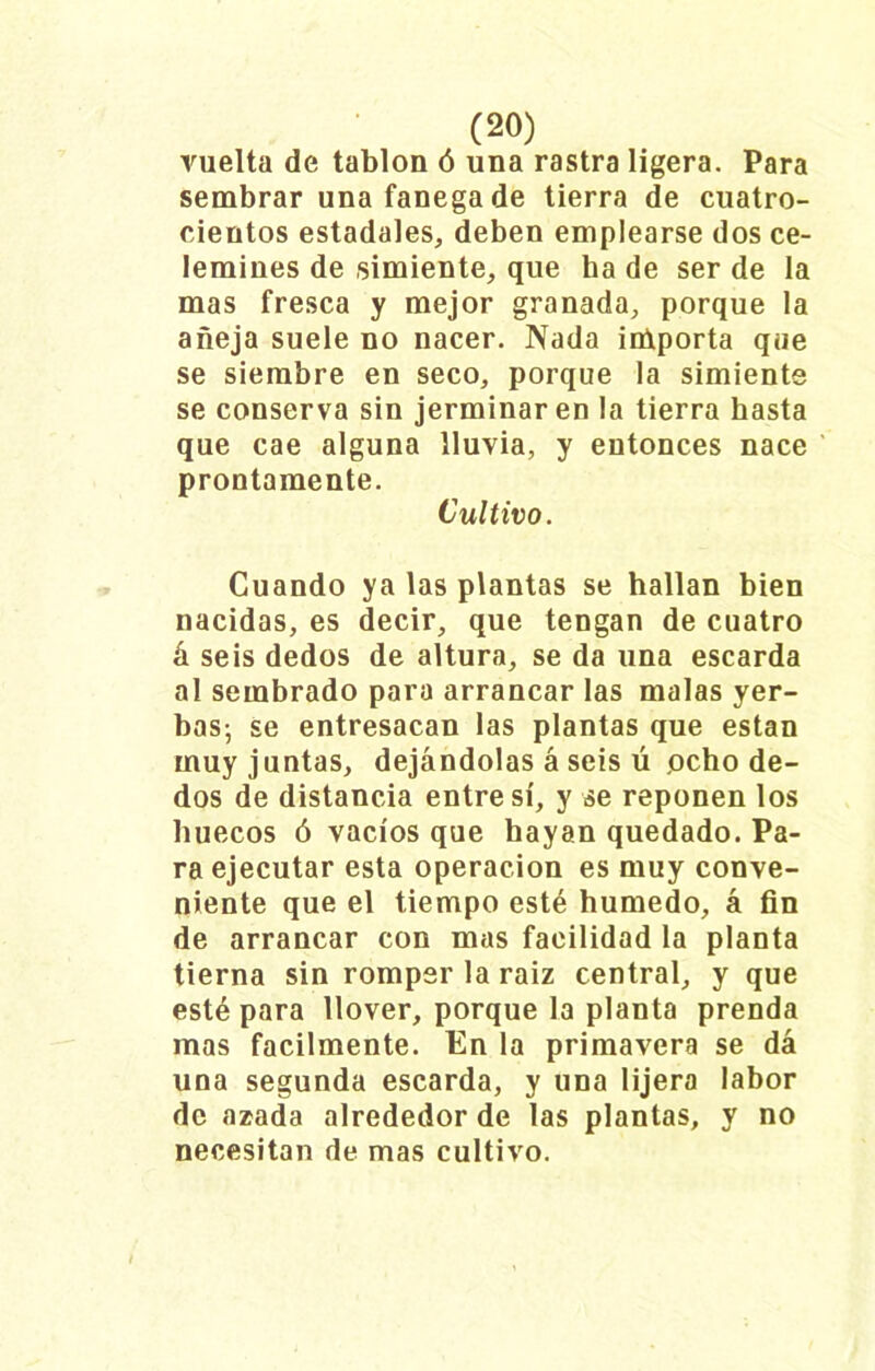 vuelta de tablón ó una rastra ligera. Para sembrar una fanega de tierra de cuatro- cientos estadales, deben emplearse dos ce- lemines de simiente, que ha de ser de la mas fresca y mejor granada, porque la añeja suele no nacer. Nada iniporta q¡ie se siembre en seco, porque la simiente se conserva sin jerminaren la tierra hasta que cae alguna lluvia, y entonces nace prontamente. Cultivo. Cuando ya las plantas se hallan bien nacidas, es decir, que tengan de cuatro á seis dedos de altura, se da una escarda al sembrado para arrancar las malas yer- bas; se entresacan las plantas que están muy juntas, dejándolas á seis ú ocho de- dos de distancia entre sí, y se reponen los huecos ó vacíos que hayan quedado. Pa- ra ejecutar esta operación es muy conve- niente que el tiempo esté húmedo, á fin de arrancar con mas facilidad la planta tierna sin romper la raiz central, y que esté para llover, porque la planta prenda mas fácilmente. En la primavera se dá una segunda escarda, y una lijera labor de azada alrededor de las plantas, y no necesitan de mas cultivo.