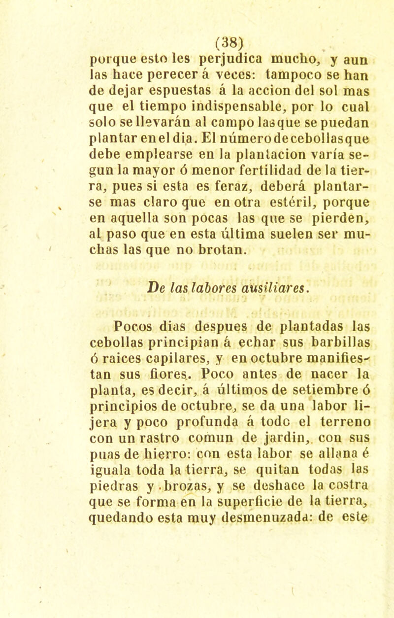 porque esto les perjudica mucho, y aun las hace perecer á veces: tampoco se han de dejar espuestas á la acción del sol mas que el tiempo indispensable, por lo cual solo se llevarán al campo lasque se puedan plantar en el dia. El número de cebollas que debe emplearse en la plantación varía se- gún la mayor ó menor fertilidad de la tier- ra, pues si esta es feraz, deberá plantar- se mas claro que en otra estéril, porque en aquella son pocas las que se pierden, al paso que en esta última suelen ser mu- chas las que no brotan. De las labores ausiliares. Pocos dias después de plantadas las cebollas principian á echar sus barbillas ó raíces capilares, y en octubre manifies- tan sus llores.. Poco antes de nacer la planta, es decir, á últimos de setiembre ó principios de octubre, se da una labor li- jera y poco profunda á todo el terreno con un rastro común de jardín, con sus púas de hierro: con esta labor se allana é iguala toda la tierra, se quitan todas las piedras y. brozas, y se deshace la costra que se forma en la superficie de la tierra, quedando esta muy desmenuzada: de este