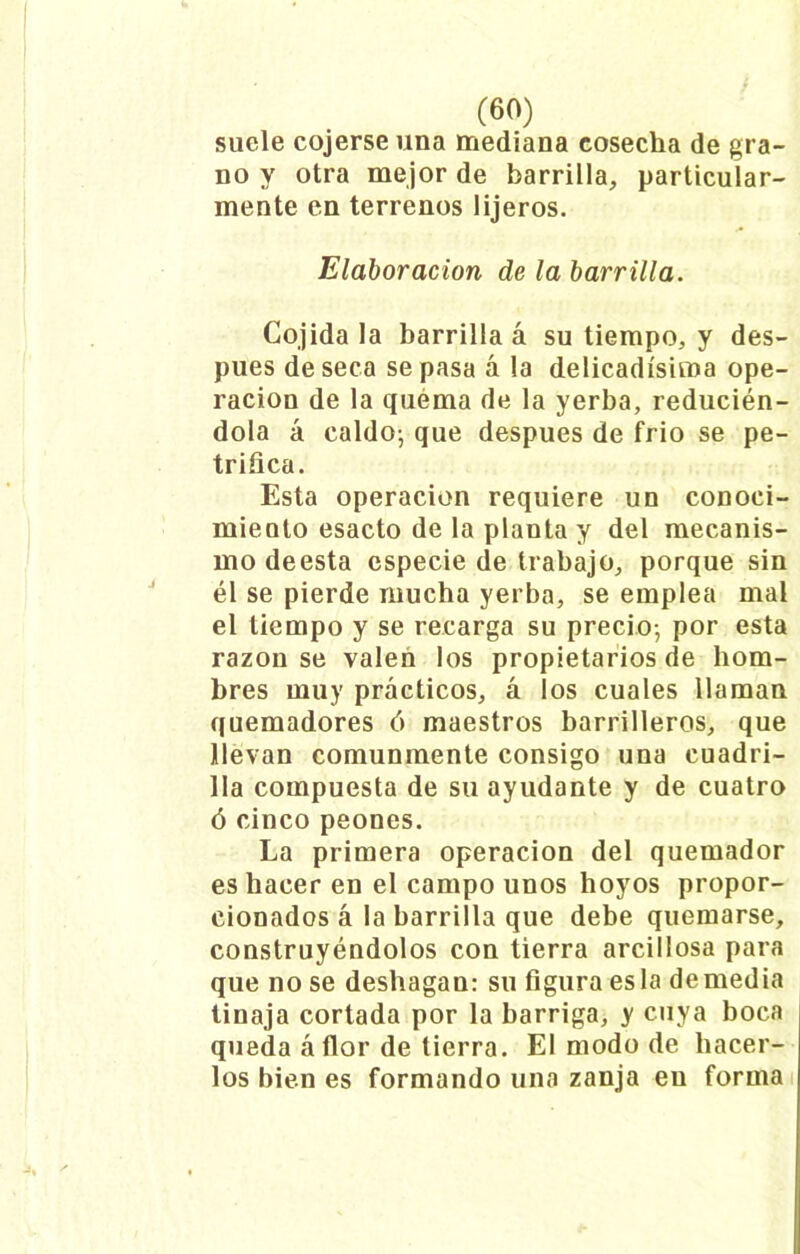 suele cojerse una mediana eosecha de gra- no y otra mejor de barrilla, particular- mente en terrenos lijeros. Elaboración de la barrilla. Cojida la barrilla á su tiempo, y des- pués de seca se pasa á la delicadísima ope- ración de la quema de la yerba, reducién- dola á caldo; que después de frió se pe- trifica. Esta operación requiere un conoci- miento esacto de la planta y del mecanis- mo deesta especie de trabajo, porque sin él se pierde mucha yerba, se emplea mal el tiempo y se recarga su precio-, por esta razón se valen los propietarios de hom- bres muy prácticos, á los cuales llaman quemadores ó maestros barrilleros, que llevan comunmente consigo una cuadri- lla compuesta de su ayudante y de cuatro ó cinco peones. La primera operación del quemador es hacer en el campo unos hoyos propor- cionados á la barrilla que debe quemarse, construyéndolos con tierra arcillosa para que no se deshagan: su figura es la demedia tinaja cortada por la barriga, y cuya boca queda áílor de tierra. El modo de hacer- los bien es formando una zanja en forma