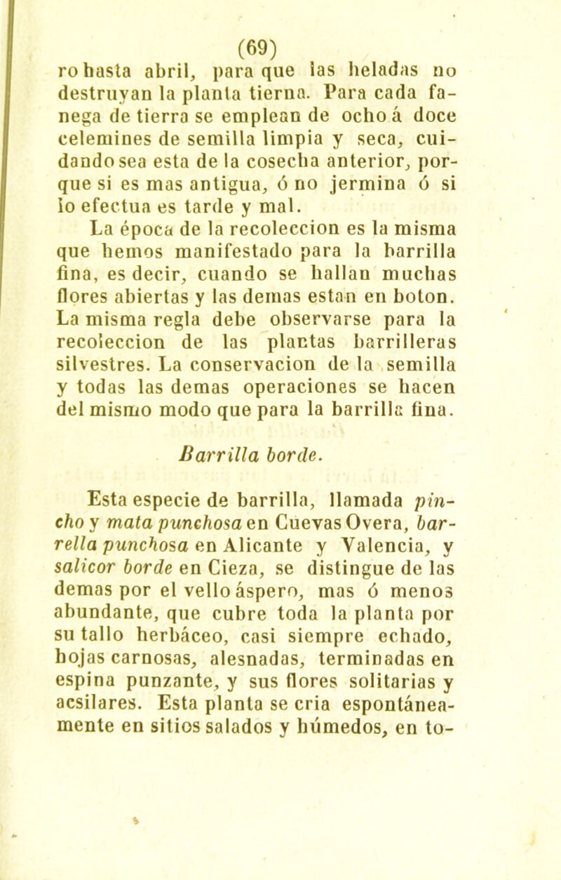 ro hasta abril, para que las heladas no destruyan la planta tierna. Para cada fa- nega de tierra se emplean de ocho á doce celemines de semilla limpia y seca, cui- dando sea esta de la cosecha anterior, por- que si es mas antigua, ó no jermina ó si lo efectúa es tarde y mal. La época de la recolección es la misma que hemos manifestado para la barrilla fina, es decir, cuando se hallan muchas flores abiertas y las demas están en boton. La misma regla debe observarse para la recolección de las plantas barrilleras silvestres. La conservación de la semilla y todas las demas operaciones se hacen del mismo modo que para la barrilla fina. Barrilla borde. Esta especie de barrilla, llamada pin- cho y mata punchosa en Cuevas Overa, bar- rella punchosa en Alicante y Valencia, y salicor borde en Cieza, se distingue de las demas por el vello áspero, mas ó menos abundante, que cubre toda la planta por su tallo herbáceo, casi siempre echado, hojas carnosas, alesnadas, terminadas en espina punzante, y sus flores solitarias y acsilares. Esta planta se cria espontánea- mente en sitios salados y húmedos, en to- %