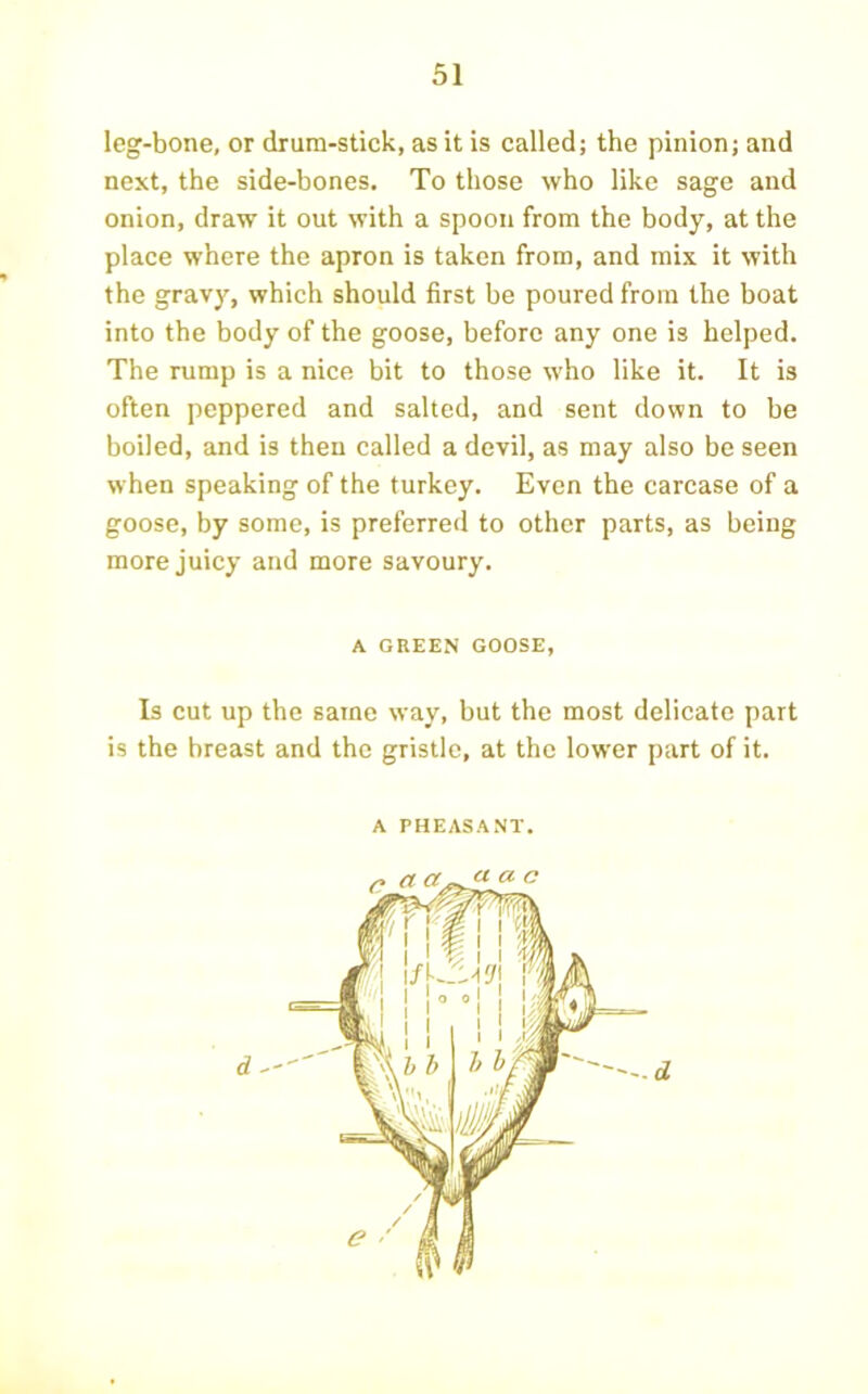 leg-bone, or drum-stick, as it is called; the pinion; and next, the side-bones. To those who like sage and onion, draw it out with a spoon from the body, at the place where the apron is taken from, and mix it with the gravy, which should first be poured from the boat into the body of the goose, before any one is helped. The rump is a nice bit to those who like it. It is often peppered and salted, and sent down to be boiled, and is then called a devil, as may also be seen when speaking of the turkey. Even the carcase of a goose, by some, is preferred to other parts, as being more juicy and more savoury. A GREEN GOOSE, Is cut up the same way, but the most delicate part is the breast and the gristle, at the lower part of it. A PHEASANT.