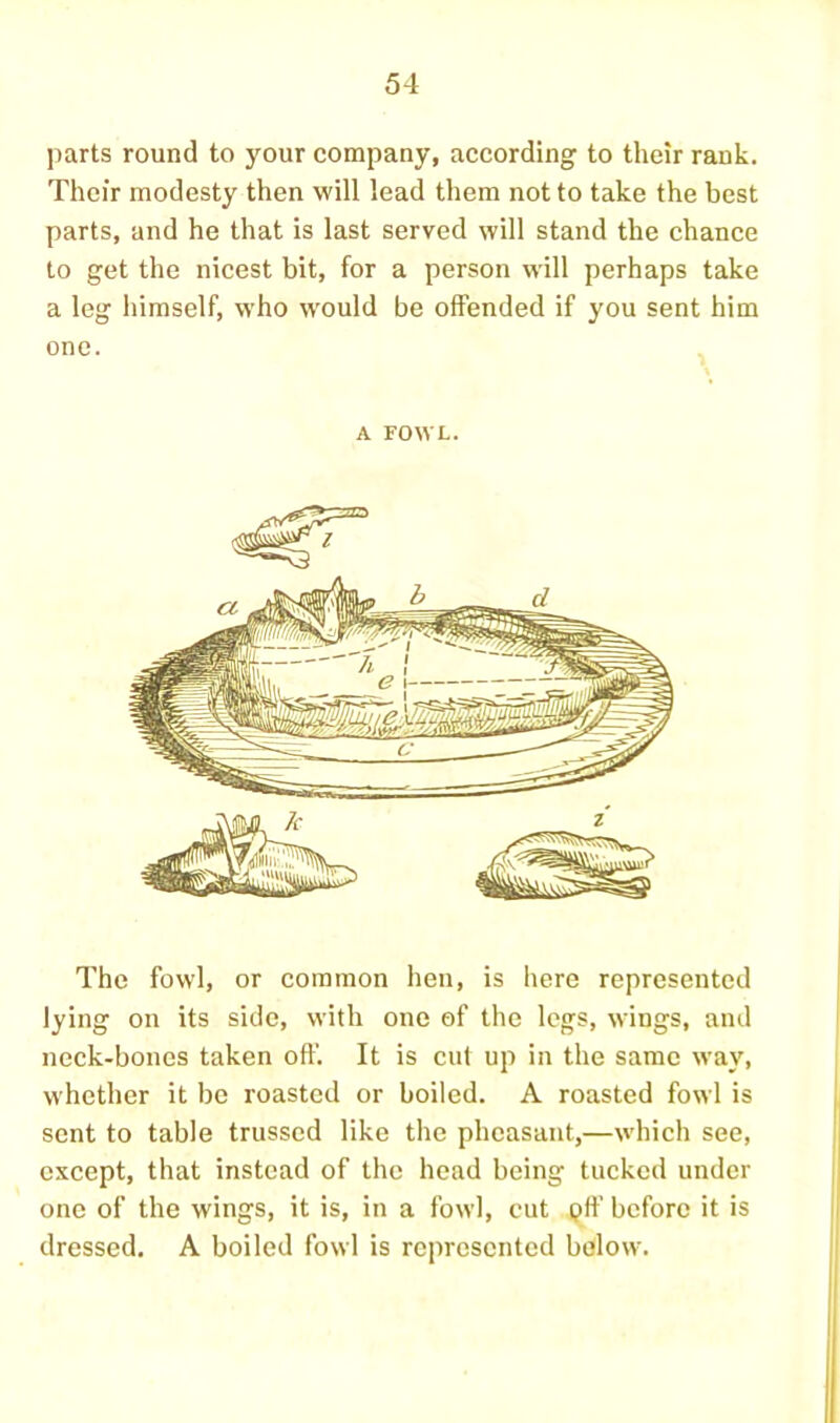 ])arts round to your company, according to their rank. Their modesty then will lead them not to take the best parts, and he that is last served will stand the chance to get the nicest bit, for a person will perhaps take a leg himself, who would be offended if you sent him one. A FOWL. The fowl, or common hen, is here represented lying on its side, with one of the legs, wings, and neck-bones taken off. It is cut up in the same way, whether it bo roasted or boiled. A roasted fowl is sent to table trussed like the pheasant,—which see, except, that instead of the head being tucked under one of the wings, it is, in a fowl, cut pff before it is dressed. A boiled fowl is represented below.