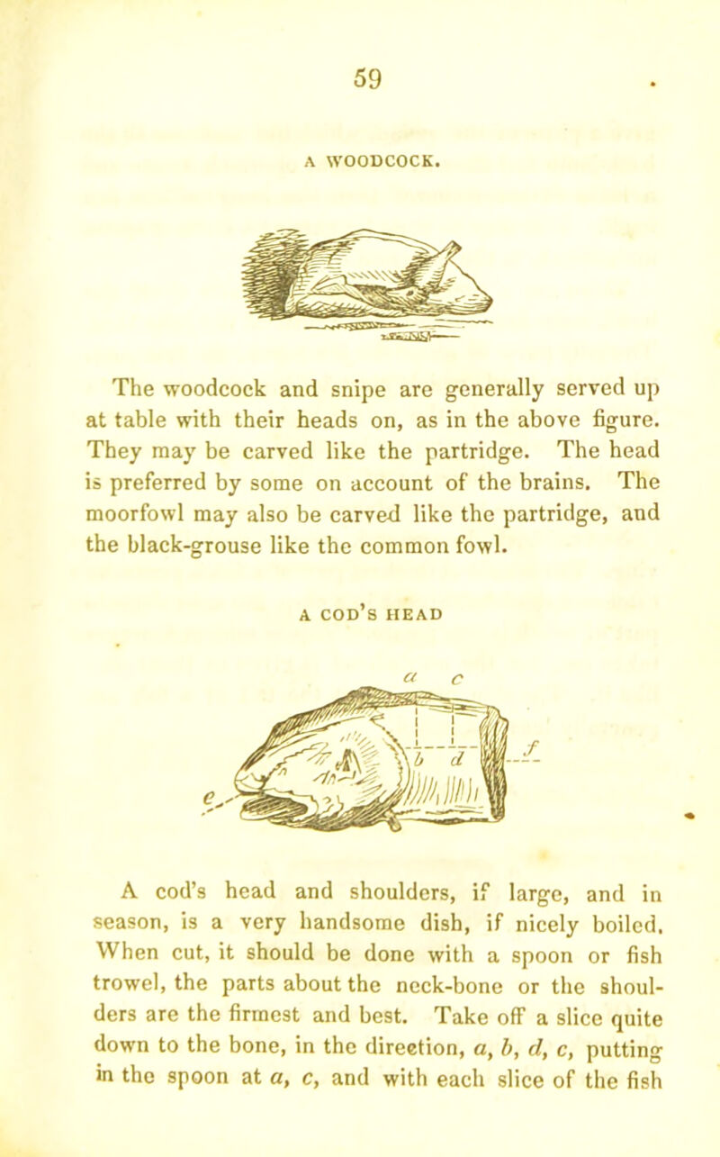 A WOODCOCK. The woodcock and snipe are generally served up at table with their heads on, as in the above figure. They may be carved like the partridge. The head is preferred by some on account of the brains. The moorfowl may also be carved like the partridge, and the black-grouse like the common fowl. A cod’s head a c A cod’s head and shoulders, if large, and in season, is a very handsome dish, if nicely boiled. When cut, it should be done with a spoon or fish trowel, the parts about the neck-bone or the shoul- ders are the firmest and best. Take off a slice quite down to the bone, in the direction, a, b, d, c, putting in the spoon at a, c, and with each slice of the fish