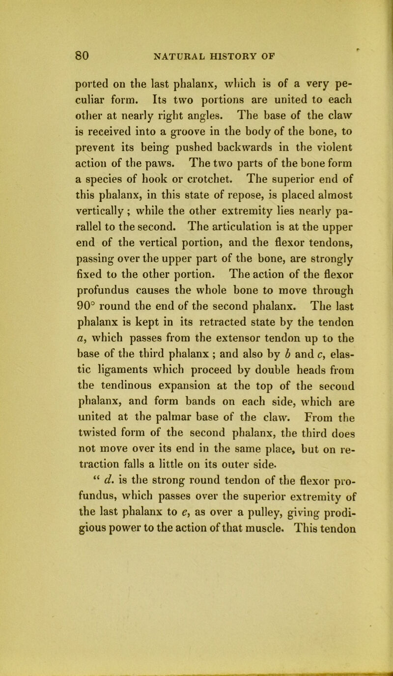 ported on the last phalanx, which is of a very pe- culiar form. Its two portions are united to each other at nearly right angles. The base of the claw is received into a groove in the body of the bone, to prevent its being pushed backwards in the violent action of the paws. The two parts of the bone form a species of hook or crotchet. The superior end of this phalanx, in this state of repose, is placed almost vertically ; while the other extremity lies nearly pa- rallel to the second. The articulation is at the upper end of the vertical portion, and the flexor tendons, passing over the upper part of the bone, are strongly fixed to the other portion. The action of the flexor profundus causes the whole bone to move through 90° round the end of the second phalanx. The last phalanx is kept in its retracted state by the tendon a, which passes from the extensor tendon up to the base of the third phalanx ; and also by b and c, elas- tic ligaments which proceed by double heads from the tendinous expansion at the top of the second phalanx, and form bands on each side, which are united at the palmar base of the claw. From the twisted form of the second phalanx, the third does not move over its end in the same place, but on re- traction falls a little on its outer side. “ d. is the strong round tendon of the flexor pro- fundus, which passes over the superior extremity of the last phalanx to e, as over a pulley, giving prodi- gious power to the action of that muscle. This tendon