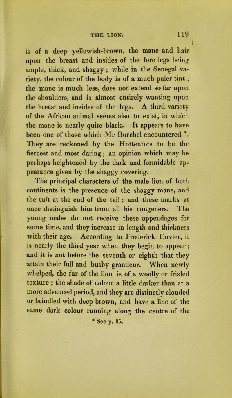 is of a deep yellowish-brown, the mane and hair upon the breast and insides of the fore legs being ample, thick, and shaggy; while in the Senegal va- riety, the colour of the body is of a much paler tint; the mane is much less, does not extend so far upon the shoulders, and is almost entirely wanting upon the breast and insides of the legs. A third variety of the African animal seems also to exist, in which the mane is nearly quite black. It appears to have been one of those which Mr Burchel encountered *. They are reckoned by the Hottentots to be the fiercest and most daring; an opinion which may be perhaps heightened by the dark and formidable ap- pearance given by the shaggy covering. The principal characters of the male lion of both continents is the presence of the shaggy mane, and the tuft at the end of the tail ; and these marks at once distinguish him from all his congeners. The young males do not receive these appendages for some time, and they increase in length and thickness with their age. According to Frederick Cuvier, it is nearly the third year when they begin to appear ; and it is not before the seventh or eighth that they attain their full and bushy grandeur. When newly whelped, the fur of the lion is of a woolly or frizled texture ; the shade of colour a little darker than at a more advanced period, and they are distinctly clouded or brindled with deep brown, and have a line of the same dark colour running along the centre of the * See p. 85.