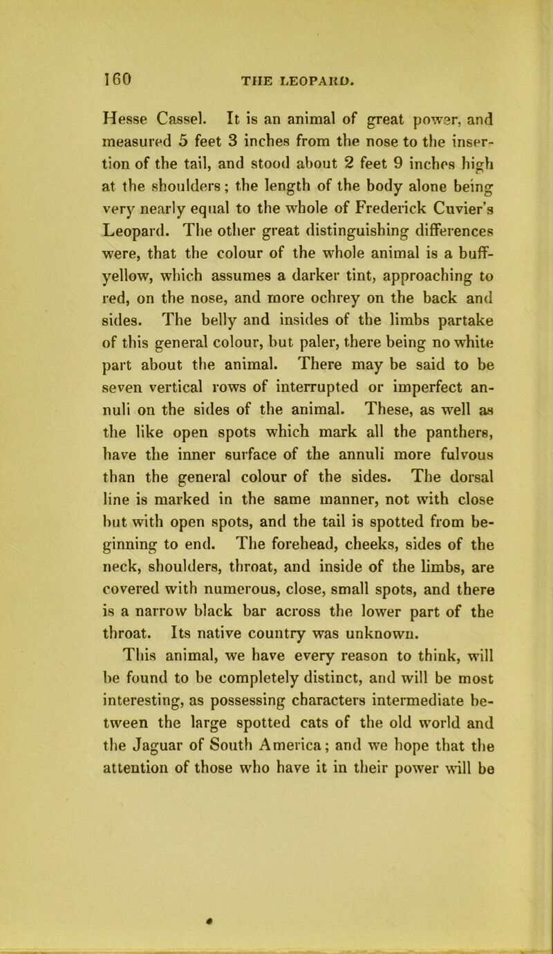 Hesse Cassel. It is an animal of great power, and measured 5 feet 3 inches from the nose to the inser- tion of the tail, and stood about 2 feet 9 inches high at the shoulders; the length of the body alone being very nearly equal to the whole of Frederick Cuvier’s Leopard. The other great distinguishing differences were, that the colour of the whole animal is a buff- yellow, which assumes a darker tint, approaching to red, on the nose, and more ochrey on the back and sides. The belly and insides of the limbs partake of this general colour, but paler, there being no white part about the animal. There may be said to be seven vertical rows of interrupted or imperfect an- nuli on the sides of the animal. These, as well as the like open spots which mark all the panthers, have the inner surface of the annuli more fulvous than the general colour of the sides. The dorsal line is marked in the same manner, not with close but with open spots, and the tail is spotted from be- ginning to end. The forehead, cheeks, sides of the neck, shoulders, throat, and inside of the limbs, are covered with numerous, close, small spots, and there is a narrow black bar across the lower part of the throat. Its native country was unknown. This animal, we have every reason to think, will be found to be completely distinct, and will be most interesting, as possessing characters intermediate be- tween the large spotted cats of the old world and the Jaguar of South America; and we hope that the attention of those who have it in their power will be