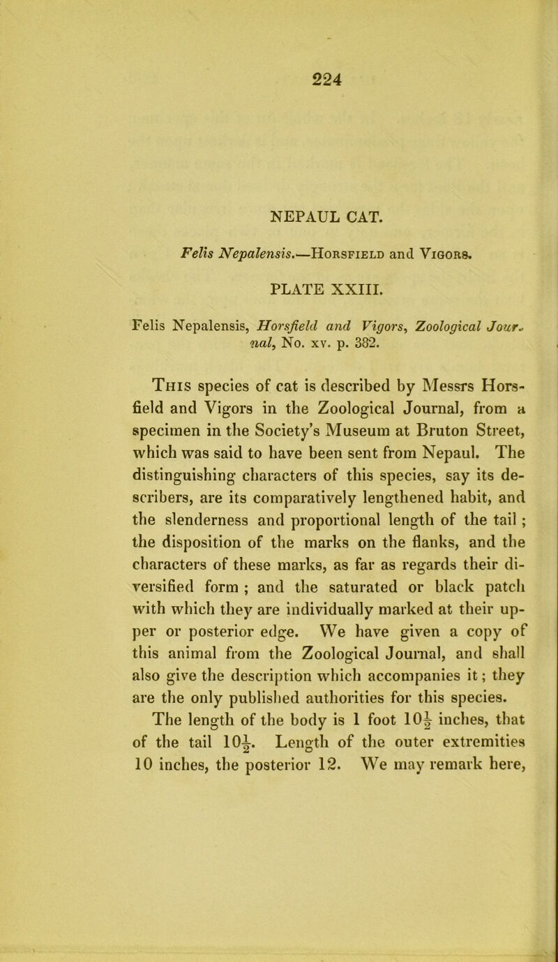 NEPAUL CAT. Fells Nepalensis.—Horsfield and Vigors, PLATE XXIII. Felis Nepalensis, Horsfield and Vigors, Zoological Jour» nalt No. xv. p. 382. This species of cat is described by Messrs Hors- field and Vigors in the Zoological Journal, from a specimen in the Society’s Museum at Bruton Street, which was said to have been sent from Nepaul. The distinguishing characters of this species, say its de- scribers, are its comparatively lengthened habit, and the slenderness and proportional length of the tail ; the disposition of the marks on the flanks, and the characters of these marks, as far as regards their di- versified form ; and the saturated or black patch with which they are individually marked at their up- per or posterior edge. We have given a copy of this animal from the Zoological Journal, and shall also give the description which accompanies it; they are the only published authorities for this species. The length of the body is 1 foot 1(H inches, that of the tail 101. Length of the outer extremities 10 inches, the posterior 12. We may remark here,