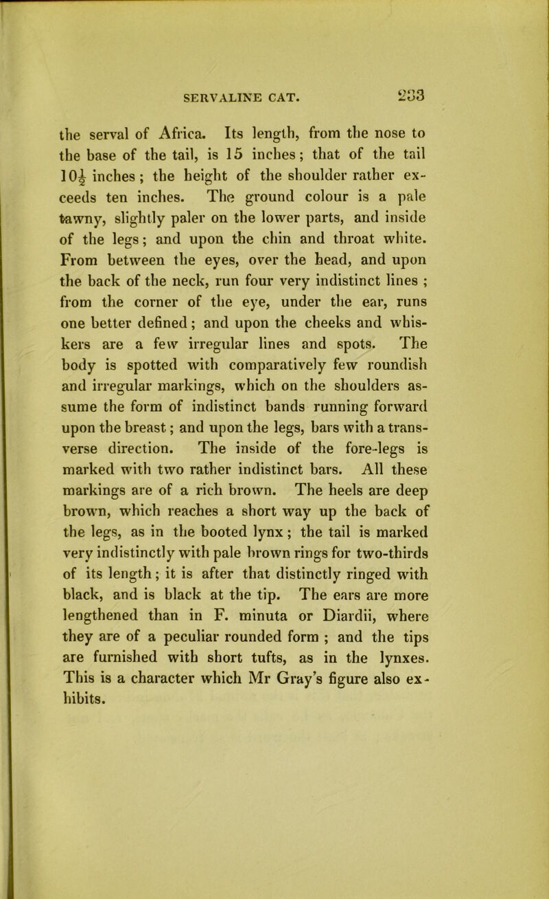 the serval of Africa. Its length, from the nose to the base of the tail, is 15 inches; that of the tail 10^ inches; the height of the shoulder rather ex- ceeds ten inches. The ground colour is a pale tawny, slightly paler on the lower parts, and inside of the legs; and upon the chin and throat white. From between the eyes, over the head, and upon the back of the neck, run four very indistinct lines ; from the corner of the eye, under the ear, runs one better defined; and upon the cheeks and whis- kers are a few irregular lines and spots. The body is spotted with comparatively few roundish and irregular markings, which on the shoulders as- sume the form of indistinct bands running forward upon the breast; and upon the legs, bars with a trans- verse direction. The inside of the fore-legs is marked with two rather indistinct bars. All these markings are of a rich brown. The heels are deep brown, which reaches a short way up the back of the legs, as in the booted lynx; the tail is marked very indistinctly with pale brown rings for two-thirds of its length; it is after that distinctly ringed with black, and is black at the tip. The ears are more lengthened than in F. minuta or Diardii, where they are of a peculiar rounded form ; and the tips are furnished with short tufts, as in the lynxes. This is a character which Mr Gray’s figure also ex- hibits.
