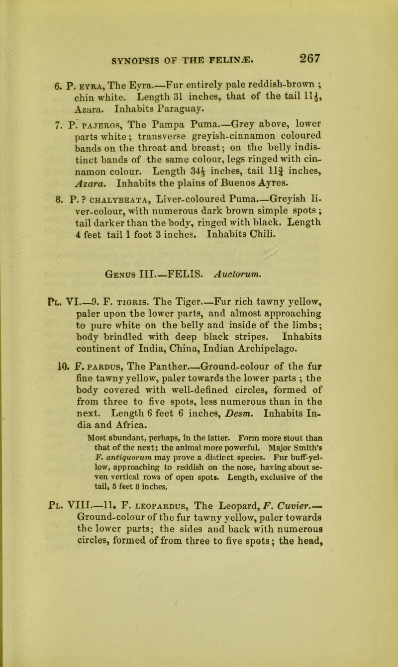 6. P. eyra, The Eyra.—Fur entirely pale reddish-brown ; chin white. Length 31 inches, that of the tail 11.1, Azara. Inhabits Paraguay. 7. P. pajeros, The Pampa Puma.—Grey above, lower parts white; transverse greyish-cinnamon coloured bands on the throat and breast; on the belly indis- tinct bands of the same colour, legs ringed with cin- namon colour. Length 34^ inches, tail 11| inches, Azara. Inhabits the plains of Buenos Ayres. 8. P. ? chalybeata, Liver-coloured Puma.—Greyish li- ver-colour, with numerous dark brown simple spots ; tail darker than the body, ringed with black. Length 4 feet tail 1 foot 3 inches. Inhabits Chili. Genus III—FELIS. Auclorum. Pl. YI 9. F. Tigris. The Tiger—Fur rich tawny yellow, paler upon the lower parts, and almost approaching to pure white on the belly and inside of the limbs; body brindled with deep black stripes. Inhabits continent of India, China, Indian Archipelago. 10. F. pardus, The Panther Ground-colour of the fur fine tawny yellow, paler towards the lower parts ; the body covered with well-defined circles, formed of from three to five spots, less numerous than in the next. Length 6 feet 6 inches, Desm. Inhabits In- dia and Africa. Most abundant, perhaps, in the latter. Form more stout than that of the next; the animal more powerful. Major Smith’s F. antiquorum may prove a distinct species. Fur buff-yel- low, approaching to reddish on the nose, having about se- ven vertical rows of open spots. Length, exclusive of the tail, 5 feet 8 inches. Pl. VIII.—11. F. leopardus, The Leopard, I7. Cuvier.— Ground-colour of the fur tawny yellow, paler towards the lower parts; the sides and back with numerous circles, formed of from three to five spots; the head,