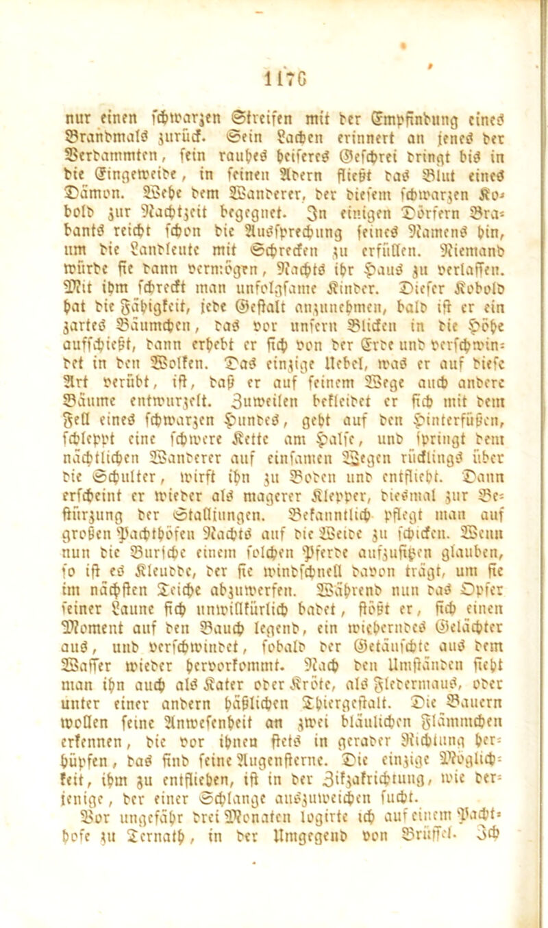 1 ITC nur einen fcbtoarjen Streifen mit ber ©mpfinbung eines? Sranbmalä jttrüd. Sein hatten erinnert an jenes? ber Serbammten, fein raubeö (»eifereg! ©efebrei trinkt big! in bie (?ingetoeibe, in feinen Slbern fließt bas? Shit eines? Dämon, Sehe bem Sanberer, ber biefem febtoarjen Jbo-« bolb jur 9iacbtjeit begegnet. 3n einigen Dörfern Sra* bants? reicht fdjon bic 2lus?fprecbung feinet 9iainem? bin, nm bie Sanbleute mit Scbrecfnt $u erfüllen. 9iiemanb toiirbe fie bann oermögen, 9iacbts? ibr $auö ju »erlaffen. SWit ihm febredt man unfolgfame j?inber. Diefer j?obolb bat bie gäbigfeit, jebe ©eftait aniunebmcn, halb ift er ein jartes? Säumiben, bas? oor unfern Süden in bie Höbe auffebießt, bann erbebt er ftcb oon ber ®rbe tinb oerfcbnün= bet in beit Seifen. Das? einzige Hebel, iraö er auf biefc 2lrt oerübt, ift, baß er auf feinem Sege auch aitberc Saume entmurjelt. 3ut»eilen befleibet er ftcb mit betn geö etne$ febtoarjen £unbes?, gebt auf ben Hinterfüßen, fcbleppt eine fcbioere Äettc am Hälfe, unb (bringt bem näcbtlicben Sanberer auf cinfanten Segen rüdlüigs? über bie Schulter, toirft ihn 311 Soben unb entflieht. Dann erfebeint er toieber als? magerer Klepper, biennal jur Se= fiürjung ber Stalltungen. Sefanntltcb pflegt man auf großen ^Jacbtböfen 9cacbtö auf bie Selbe 511 fänden. Senn nun bic Surfcbe einem foldben ^Jferbe aufjuftpen glauben, fo ift es? ßleubbe, ber fie tvinbfcbnell baoon trägt, um fte im näibften Jcicbe abjutoerfeit. Säbrenb nun bas? Opfer feiner Saune ftcb itmoiflfürlicb habet, flößt er, ftcb einen Moment auf ben Saucb legenb, ein toicbernbcs? ©eläebter aus?, unb »erfebtoinbet, fobalb ber ©etäufebte aus? bem Saffer toieber beroorfommt. 9iacb ben Umjtänben fiebt man ihn auch alei Äater ober Äröte, al3 glebermaus*, ober unter einer anbern belieben Dbiergefialt. Die Säuern tocüen feine Slntoefenbeit an jtoei bläultcbcn glämmdjen erfennen, bie oor ihnen ftets? in geraber 9iicbiung ber- büpfen, baei ftnb feine Slugenfiernc. Die einzige Sfoglitfn feit, ihm ju entfliehen, ift in ber 3ifji>friebtuii3/ wie her= ieitige, ber einer Schlange auöjutoeicbcn fuebt. Sor ungefähr breiüWonaten logirte teb auf einem fpaebt» bofe tu Sernatb , in ber Umgegenb oon Srüffel. 3cb