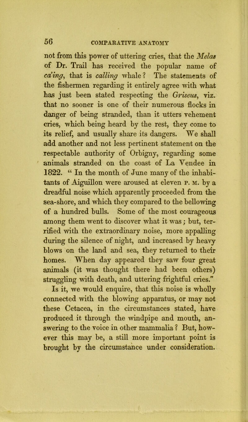 not from this power of uttering cries, that the Melas of Dr. Trail has received the popular name of caing, that is calling whale? The statements of the fishermen regarding it entirely agree with what has just been stated respecting the Griseus, viz. that no sooner is one of their numerous flocks in danger of being stranded, than it utters vehement cries, which being heard by the rest, they come to its relief, and usually share its dangers. We shall add another and not less pertinent statement on the respectable authority of Orbigny, regarding some ' animals stranded on the coast of La Vendee in 1822. “ In the month of June many of the inhabi- tants of Aiguillon were aroused at eleven p. m. by a dreadful noise which apparently proceeded from the sea-shore, and which they compared to the bellowing of a hundred bulls. Some of the most courageous among them went to discover what it was; but, ter- rified with the extraordinary noise, more appalling during the silence of night, and increased by heavy blows on the land and sea, they returned to their homes. When day appeared they saw four great animals (it was thought there had been others) struggling with death, and uttering frightful cries.” Is it, we would enquire, that this noise is wholly connected with the blowing apparatus, or may not these Cetacea, in the circumstances stated, have produced it through the windpipe and mouth, an- swering to the voice in other mammalia ? But, how- ever this may be, a still more important point is brought by the circumstance under consideration.