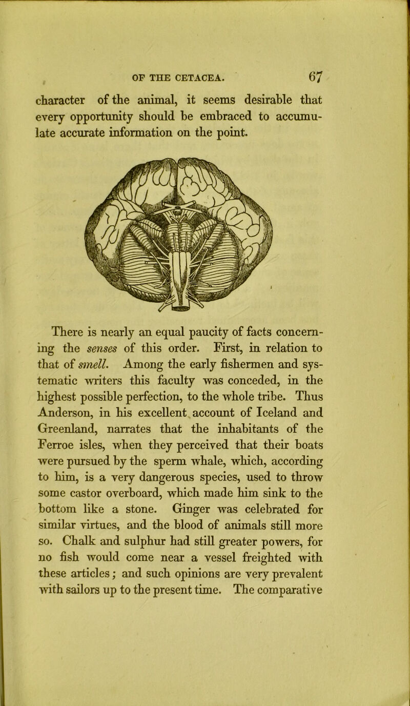 character of the animal, it seems desirable that every opportunity should be embraced to accumu- late accurate information on the point. There is nearly an equal paucity of facts concern- ing the senses of this order. First, in relation to that of smell. Among the early fishermen and sys- tematic writers this faculty was conceded, in the highest possible perfection, to the whole tribe. Thus Anderson, in his excellent account of Iceland and Greenland, narrates that the inhabitants of the Ferroe isles, when they perceived that their boats were pursued by the sperm whale, which, according to him, is a very dangerous species, used to throw some castor overboard, which made him sink to the bottom like a stone. Ginger was celebrated for similar virtues, and the blood of animals still more so. Chalk and sulphur had still greater powers, for no fish would come near a vessel freighted with these articles; and such opinions are very prevalent ■with sailors up to the present time. The comparative