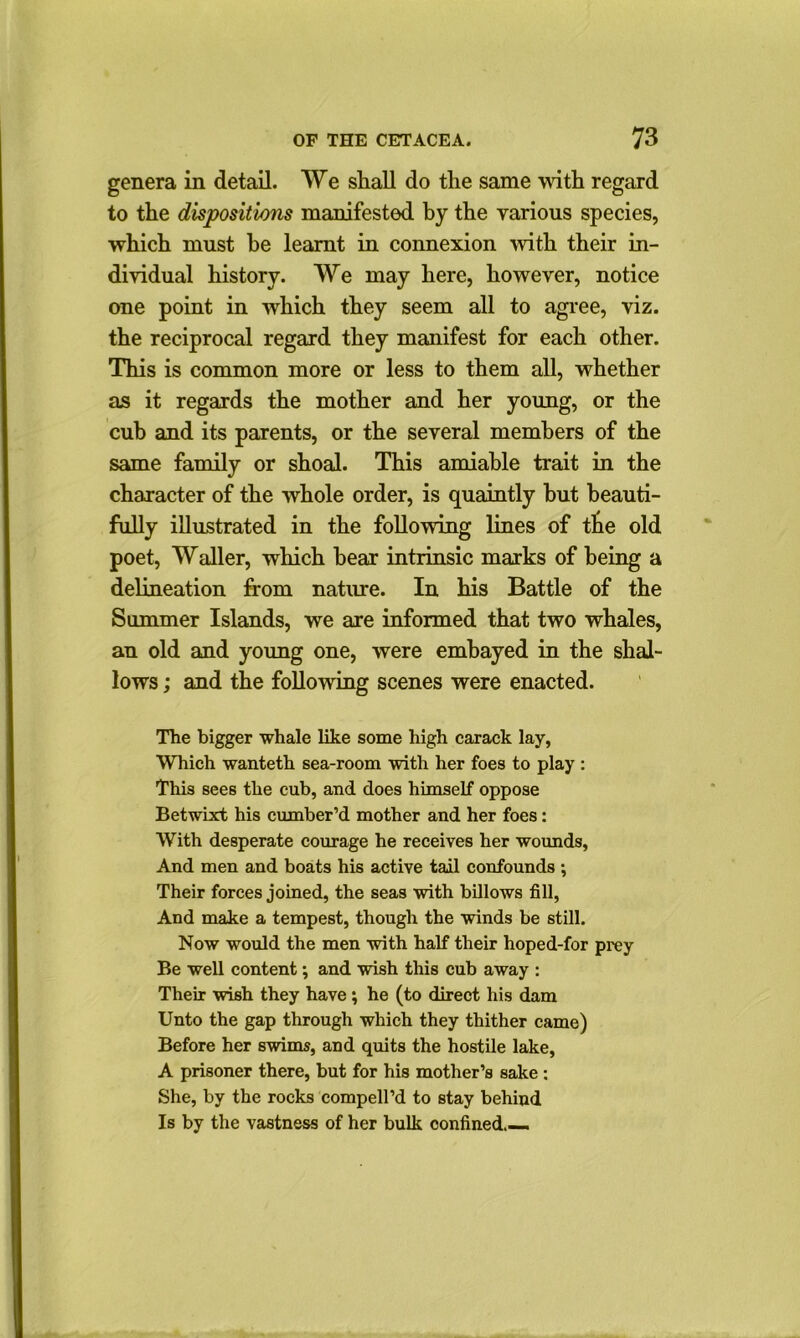 genera in detail. We sliall do the same with regard to the dispositions manifested by the various species, which must he learnt in connexion with their in- dividual history. We may here, however, notice one point in which they seem all to agree, viz. the reciprocal regard they manifest for each other. This is common more or less to them all, whether as it regards the mother and her young, or the cub and its parents, or the several members of the same family or shoal. This amiable trait in the character of the whole order, is quaintly hut beauti- fully illustrated in the following lines of tbe old poet, Waller, which hear intrinsic marks of being a delineation from nature. In his Battle of the Summer Islands, we are informed that two whales, an old and young one, were embayed in the shal- lows ; and the following scenes were enacted. The bigger whale like some high carack lay, Which wanteth sea-room with her foes to play : This sees the cub, and does himself oppose Betwixt his cumber’d mother and her foes: With desperate courage he receives her wounds, And men and boats his active tail confounds ; Their forces joined, the seas with billows fill, And make a tempest, though the winds be still. Now would the men with half their hoped-for prey Be well content; and wish this cub away : Their wish they have ; he (to direct his dam Unto the gap through which they thither came) Before her swims, and quits the hostile lake, A prisoner there, but for his mother’s sake : She, by the rocks compell’d to stay behind Is by the vastness of her bulk confined.—