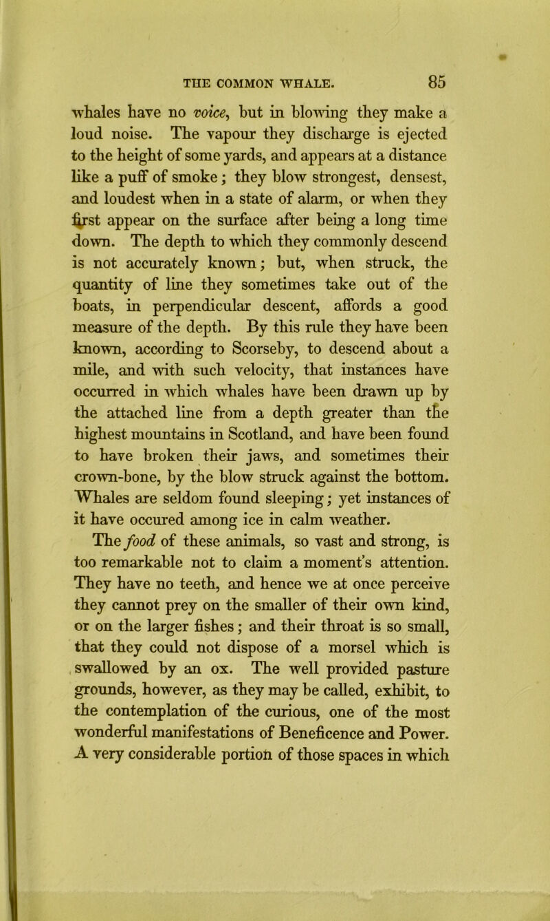 whales have no voice, but in blowing they make a loud noise. The vapour they discharge is ejected to the height of some yards, and appears at a distance like a puff of smoke; they blow strongest, densest, and loudest when in a state of alarm, or when they first appear on the surface after being a long time down. The depth to which they commonly descend is not accurately known; but, when struck, the quantity of line they sometimes take out of the boats, in perpendicular descent, affords a good measure of the depth. By this rule they have been known, according to Scorseby, to descend about a mile, and with such velocity, that instances have occurred in which whales have been drawn up by the attached line from a depth greater than the highest mountains in Scotland, and have been found to have broken their jaws, and sometimes their crown-bone, by the blow struck against the bottom. Whales are seldom found sleeping; yet instances of it have occured among ice in calm weather. The food of these animals, so vast and strong, is too remarkable not to claim a moment’s attention. They have no teeth, and hence we at once perceive they cannot prey on the smaller of their own kind, or on the larger fishes; and their throat is so small, that they could not dispose of a morsel which is swallowed by an ox. The well provided pasture grounds, however, as they may be called, exhibit, to the contemplation of the curious, one of the most wonderful manifestations of Beneficence and Power. A very considerable portion of those spaces in which