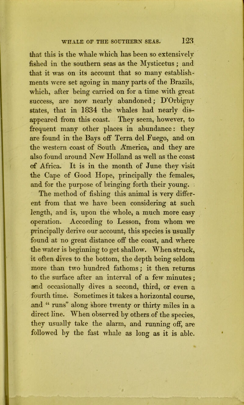 that this is the whale which has been so extensively fished in the southern seas as the Mysticetus ; and that it was on its account that so many establish- ments were set agoing in many parts of the Brazils, which, after being earned on for a time with great success, are now nearly abandoned; D’Orbigny states, that in 1834 the whales had nearly dis- appeared from this coast. They seem, however, to frequent many other places in abundance: they are found in the Bays off Terra del Fuego, and on the western coast of South America, and they are also found around New Holland as well as the coast of Africa. It is in the month of June they visit the Cape of Good Hope, principally the females, and for the purpose of bringing forth their young. The method of fishing this animal is very differ- ent from that we have been considering at such length, and is, upon the whole, a much more easy operation. According to Lesson, from whom -we principally derive our account, this species is usually found at no great distance off the coast, and where the water is beginning to get shallow. When struck, it often dives to the bottom, the depth being seldom more than two hundred fathoms; it then returns to the surface after an interval of a few minutes; afnd occasionally dives a second, third, or even a fourth time. Sometimes it takes a horizontal course, and “ runs” along shore twenty or thirty miles in a direct line. When observed by others of the species, they usually take the alarm, and running off, are followed by the fast whale as long as it is able.