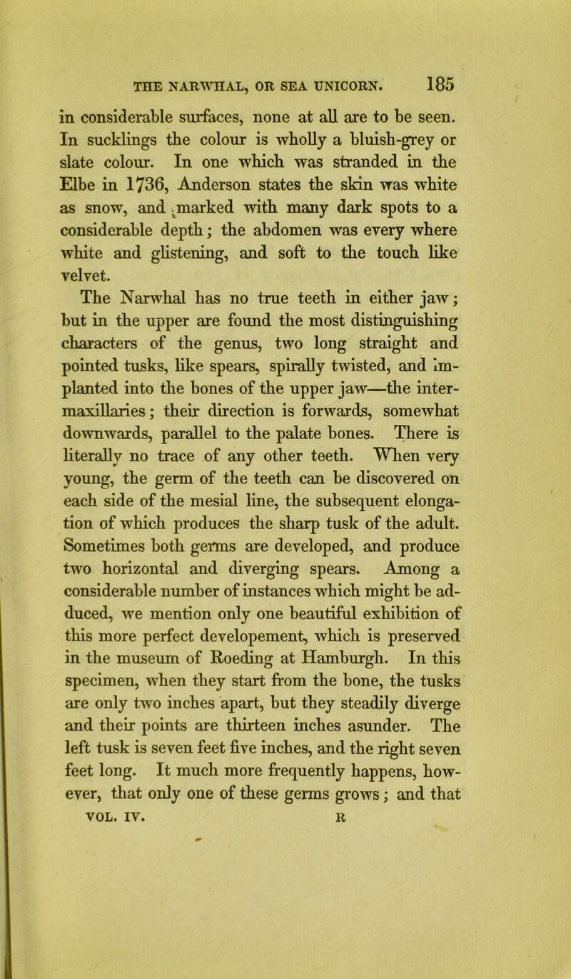 in considerable surfaces, none at all are to be seen. In sucklings the colour is wholly a bluish-grey or slate colour. In one which, was stranded in the Elbe in 1736, Anderson states the skin was white as snow, and -marked with many dark spots to a considerable depth; the abdomen was every where white and glistening, and soft to the touch like velvet. The Narwhal has no true teeth in either jaw; but in the upper are found the most distinguishing characters of the genus, two long straight and pointed tusks, like spears, spirally twisted, and im- planted into the bones of the upper jaw—the inter- maxillaries; their direction is forwards, somewhat downwards, parallel to the palate bones. There is literally no trace of any other teeth. When very young, the germ of the teeth can be discovered on each side of the mesial line, the subsequent elonga- tion of which produces the sharp tusk of the adult. Sometimes both germs are developed, and produce two horizontal and diverging spears. Among a considerable number of instances which might be ad- duced, we mention only one beautiful exhibition of this more perfect developement, which is preserved in the museum of Roeding at Hamburgh. In this specimen, when they start from the bone, the tusks are only two inches apart, but they steadily diverge and their points are thirteen inches asunder. The left tusk is seven feet five inches, and the right seven feet long. It much more frequently happens, how- ever, that only one of these germs grows; and that VOL. IV. R