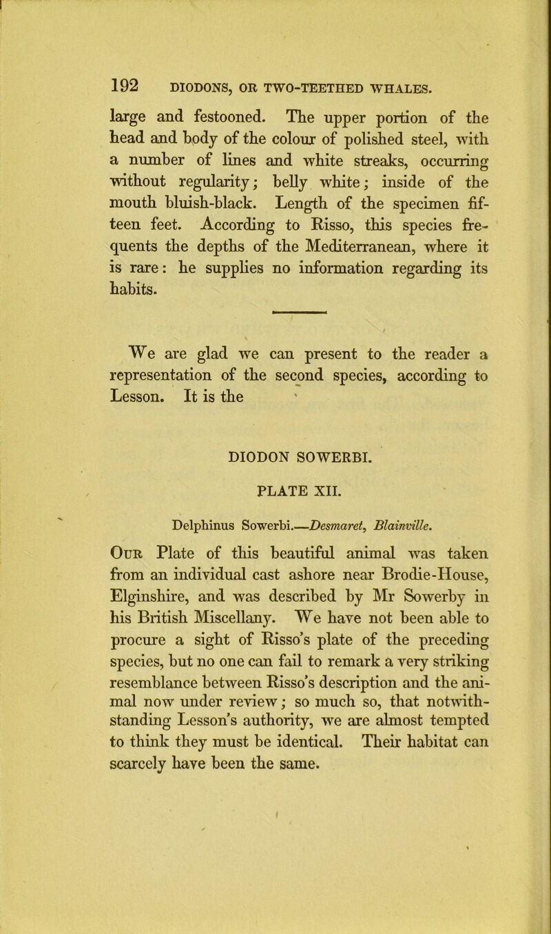 large and festooned. The upper portion of the head and body of the colour of polished steel, with a number of lines and white streaks, occurring without regularity; belly white; inside of the mouth bluish-black. Length of the specimen fif- teen feet. According to Risso, this species fre- quents the depths of the Mediterranean, where it is rare: he supplies no information regarding its habits. We are glad we can present to the reader a representation of the second species, according to Lesson. It is the DIODON SOWERBI. PLATE XII. Delphinus Sowerbi.—Desmaret, Blainville. Our Plate of this beautiful animal was taken from an individual cast ashore near Brodie-House, Elginshire, and was described by Mr Sowerby in his British Miscellany. We have not been able to procure a sight of Risso’s plate of the preceding species, but no one can fail to remark a very striking resemblance between Risso’s description and the ani- mal now mider review; so much so, that notwith- standing Lesson s authority, we are almost tempted to think they must be identical. Their habitat can scarcely have been the same.