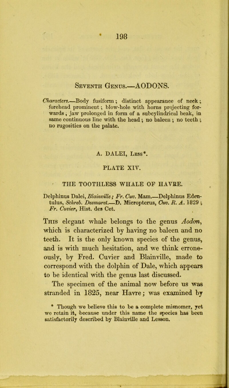 Seventh Genus.—AODONS. Characters—Body fusiform; distinct appearance of neck; forehead prominent; blow-hole with horns projecting for- wards , jaw prolonged in form of a subcylindrical beak, in same continuous line -with the head; no baleen ; no teeth ; no rugosities on the palate. A. DALEI, Less*. PLATE XIV. ' THE TOOTHLESS WHALE OF HAVRE. Delphinus Dalei, Blainville ; Fr. Cuv. Mam.—Delphinus Eden- tulus, Schreb. Desmaret.—D. Micropterus, Cuv. R. A. 1829 ; Fr. Cuvier, Hist, des Cet. This elegant whale belongs to tbe genus Aodon, which is characterized by having no baleen and no teeth. It is the only known species of the genus, and is with much hesitation, and we think errone- ously, by Fred. Cuvier and Blainville, made to correspond with the dolphin of Dale, which appears to be identical with the genus last discussed. The specimen of the animal now before us was stranded in 1825, near Havre; was examined by * Though we believe this to be a complete misnomer, yet wo retain it, because under this name the species has been satisfactorily described by Blainville and Lesson.