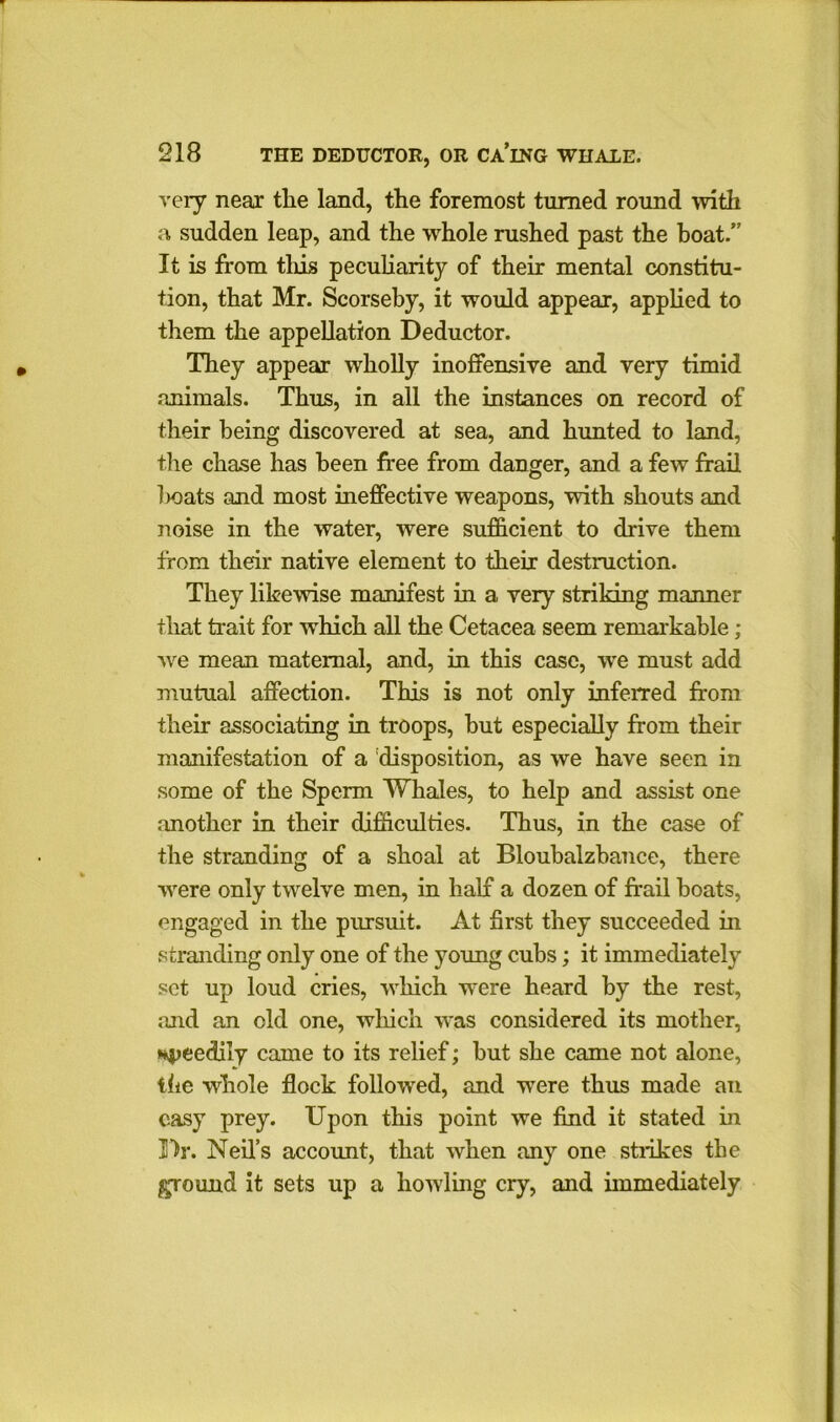 very near tlie land, the foremost turned round with a sudden leap, and the whole rushed past the boat.” It is from this peculiarity of their mental constitu- tion, that Mr. Scorseby, it would appear, applied to them the appellation Deductor. They appear wholly inoffensive and very timid animals. Thus, in all the instances on record of their being discovered at sea, and hunted to land, the chase has been free from danger, and a few frail l>oats and most ineffective weapons, with shouts and noise in the water, were sufficient to drive them from their native element to their destruction. They likewise manifest in a very striking manner that trait for which all the Cetacea seem remarkable ; we mean maternal, and, in this case, we must add mutual affection. This is not only inferred from their associating in troops, but especially from their manifestation of a 'disposition, as we have seen in some of the Sperm Whales, to help and assist one another in their difficulties. Thus, in the case of the stranding of a shoal at Bloubalzbance, there were only twelve men, in half a dozen of frail boats, engaged in the pursuit. At first they succeeded in stranding only one of the young cubs; it immediately set up loud cries, which were heard by the rest, ;uid an old one, which was considered its mother, speedily came to its relief; but she came not alone, the whole flock followed, and were thus made an easy prey. Upon this point we find it stated in Dr. Neil’s account, that when any one strikes the ground it sets up a howling cry, and immediately