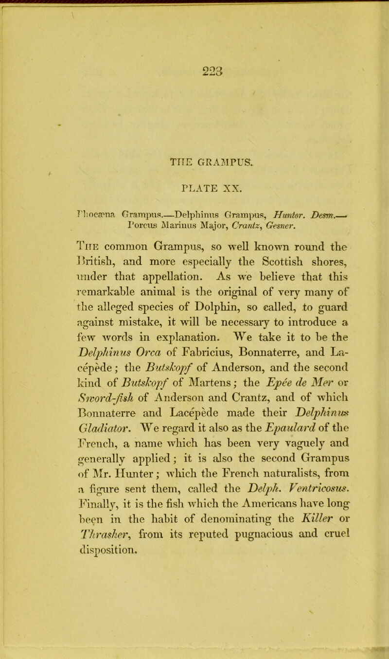 223 TIIE GRAMPUS. PLATE XX. PliocePna Grampus.—Delphinus Grampus, Huntor. Desrrt.—. Porcus Marinus Major, Crantz, Ges?ier. The common Grampus, so well known round the British, and more especially the Scottish shores, under that appellation. As we believe that this remarkable animal is the original of very many of the alleged species of Dolphin, so called, to guard against mistake, it will he necessary to introduce a few words in explanation. We take it to he the Delphi?)us Orca of Fabricius, Bonnaterre, and La- cepede ; the JSutskopf of Anderson, and the second kind of Butslcopf of Martens; the Epee de Mer or Sword-fish of Anderson and Crantz, and of which Bonnaterre and Lacepede made their Delphiniat Gladiator. We regard it also as the Epaulai'd of the French, a name which has been very vaguely and generally applied; it is also the second Grampus of Mr. Hunter; which the French naturalists, from a figure sent them, called the Delpk. Ventricosus. Finally, it is the fish which the Americans have long been in the habit of denominating the Killer or Thrasher, from its reputed pugnacious and cruel disposition.