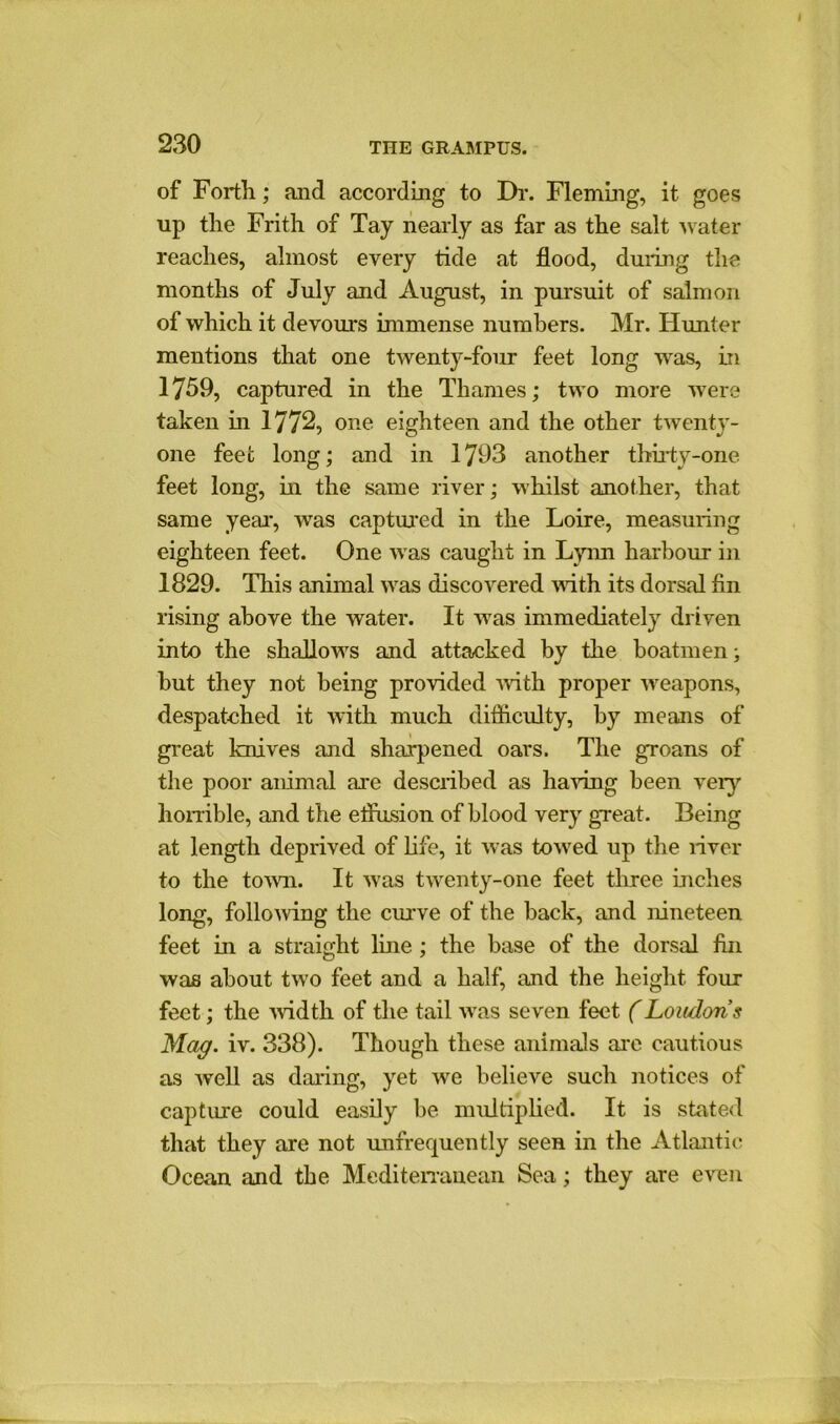 of Forth; and according to Dr. Fleming, it goes up the Frith of Tay nearly as far as the salt water reaches, almost every tide at flood, during the months of July and August, in pursuit of salmon of which it devours immense numbers. Mr. Hunter mentions that one twenty-four feet long was, in 1759, captured in the Thames; two more were taken in 1772, one eighteen and the other twenty- one feet long; and in 1793 another thirty-one feet long, in the same river; whilst another, that same year-, was captured in the Loire, measuring eighteen feet. One was caught in Lynn harbour in 1829. This animal was discovered with its dorsal fin rising above the water. It was immediately driven into the shallows and attacked by the boatmen; but they not being provided with proper weapons, despatched it with much difficulty, by means of great knives and sharpened oars. The groans of the poor animal are described as having been very horrible, and the effusion of blood very great. Being at length deprived of life, it was towed up the river to the town. It was twenty-one feet three inches long, following the curve of the back, and nineteen feet in a straight line; the base of the dorsal fin was about two feet and a half, and the height four feet; the width of the tail was seven feet (Londons Mag. iv. 338). Though these animals are cautious as well as daring, yet we believe such notices of capture could easily be multiplied. It is stated that they are not unfrequently seen in the Atlantic Ocean and the Mediterranean Sea; they are even