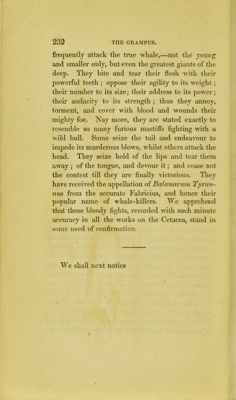 frequently attack the true whale,—not the young1 and smaller only, hut even the greatest giants of the deep. They bite and tear their flesh with their powerful teeth ; oppose their agility to its weight; their number to its size; their address to its power; their audacity to its strength ; thus they annoy, torment, and cover with blood and wounds their mighty foe. Nay more, they are stated exactly to resemble so many furious mastiffs fighting with a wild bull. Some seize the tail and endeavour to impede its murderous blows, whilst others attack the head. They seize hold of the lips and tear them away ; of the tongue, and devour it; and cease not the contest till they are finally victorious. They have received the appellation of Balamarum Ti/ran- nus from the accurate Fabricius, and hence their popular name of whale-killers. We apprehend that those bloody fights, recorded with such minute accuracy in all the works on the Cetacea, stand in some need of confirmation. We shall next notice