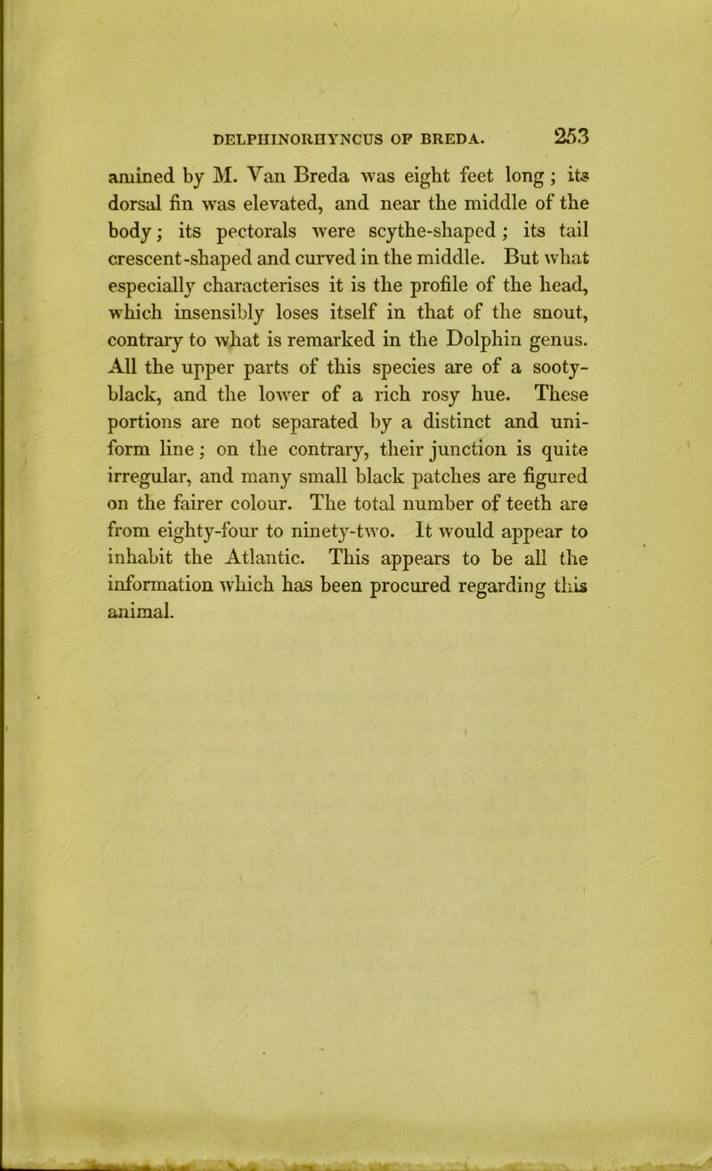 amined by M. Van Breda was eight feet long; its dorsal fin was elevated, and near the middle of the body; its pectorals were scythe-shaped; its tail crescent-shaped and curved in the middle. But what especially characterises it is the profile of the head, which insensibly loses itself in that of the snout, contrary to what is remarked in the Dolphin genus. All the upper parts of this species are of a sooty- black, and the lower of a rich rosy hue. These portions are not separated by a distinct and uni- form line; on the contrary, their junction is quite irregular, and many small black patches are figured on the fairer colour. The total number of teeth are from eighty-four to ninety-two. It would appear to inhabit the Atlantic. This appears to be all the information which has been procured regarding this animal.