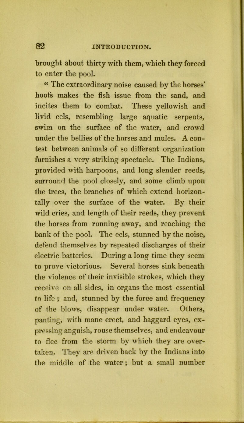 brought about thirty with them, which they forced to enter the pool. “ The extraordinary noise caused by the horses’ hoofs makes the fish issue from the sand, and incites them to combat. These yellowish and livid eels, resembling large aquatic serpents, swim on the surface of the water, and crowd under the bellies of the horses and mules. A con- test between animals of so different organization furnishes a very striking spectacle. The Indians, provided with harpoons, and long slender reeds, surround the pool closely, and some climb upon the trees, the branches of which extend horizon- tally over the surface of the water. By their wild cries, and length of their reeds, they prevent the horses from running away, and reaching the bank of the pool. The eels, stunned by the noise, defend themselves by repeated discharges of their electric batteries. During a long time they seem to prove victorious. Several horses sink beneath the violence of their invisible strokes, which they receive on all sides, in organs the most essential to life ; and, stunned by the force and frequency of the blows, disappear under water. Others, panting, with mane erect, and haggard eyes, ex- pressing anguish, rouse themselves, and endeavour to flee from the storm by which they are over- taken. They are driven back by the Indians into the middle of the water; but a small number