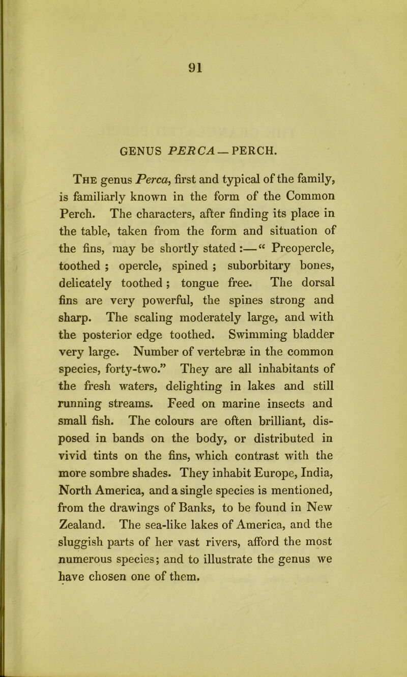 GENUS PERCA — PERCH. The genus Perea, first and typical of the family, is familiarly known in the form of the Common Perch. The characters, after finding its place in the table, taken from the form and situation of the fins, may be shortly stated:—“ Preopercle, toothed ; opercle, spined ; suborbitary bones, delicately toothed; tongue free. The dorsal fins are very powerful, the spines strong and sharp. The scaling moderately large, and with the posterior edge toothed. Swimming bladder very large. Number of vertebrae in the common species, forty-two.” They are all inhabitants of the fresh waters, delighting in lakes and still running streams. Feed on marine insects and small fish. The colours are often brilliant, dis- posed in bands on the body, or distributed in vivid tints on the fins, which contrast with the more sombre shades. They inhabit Europe, India, North America, and a single species is mentioned, from the drawings of Banks, to be found in New Zealand. The sea-like lakes of America, and the sluggish parts of her vast rivers, afford the most numerous species; and to illustrate the genus we have chosen one of them.