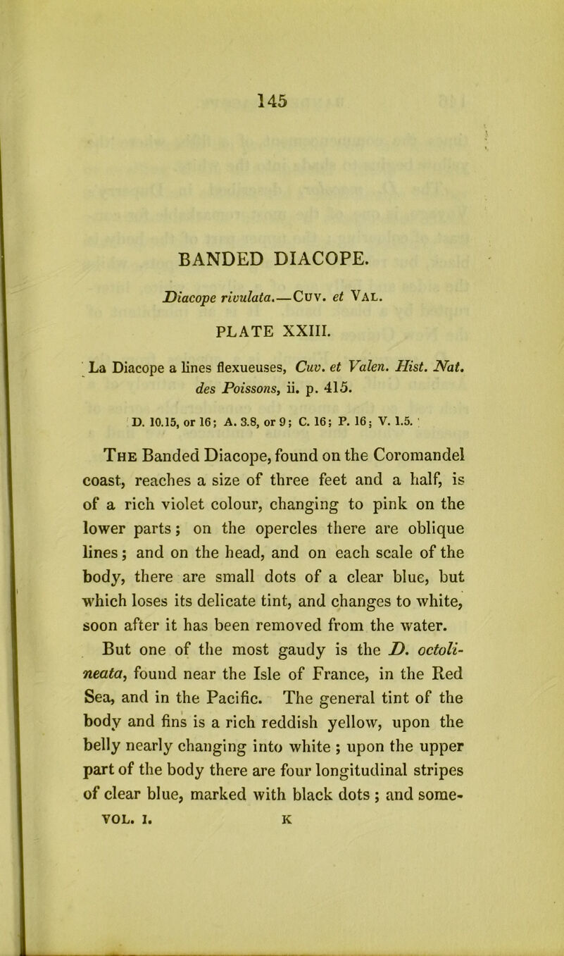 BANDED DIACOPE. Diacope rivulata.—Cuv. et Val. PLATE XXIII. La Diacope a lines flexueuses, Cuv. et Valen. Hist. Nat. des Poissons, ii. p. 415. D. 10.15, or 16; A. 3.8, or 9; C. 16; P. 16 5 V. 1.5. The Banded Diacope, found on the Coromandel coast, reaches a size of three feet and a half, is of a rich violet colour, changing to pink on the lower parts; on the opercles there are oblique lines; and on the head, and on each scale of the body, there are small dots of a clear blue, but which loses its delicate tint, and changes to white, soon after it has been removed from the water. But one of the most gaudy is the D. octoli- neata, found near the Isle of France, in the Red Sea, and in the Pacific. The general tint of the body and fins is a rich reddish yellow, upon the belly nearly changing into white ; upon the upper part of the body there are four longitudinal stripes of clear blue, marked with black dots ; and some- VOL. i. K