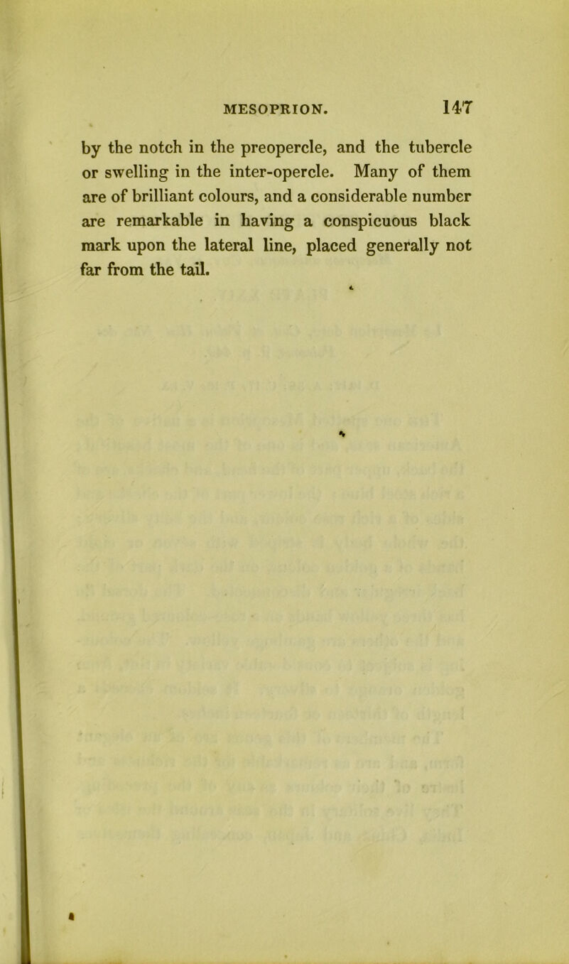 by the notch in the preopercle, and the tubercle or swelling in the inter-opercle. Many of them are of brilliant colours, and a considerable number are remarkable in having a conspicuous black mark upon the lateral line, placed generally not far from the tail.