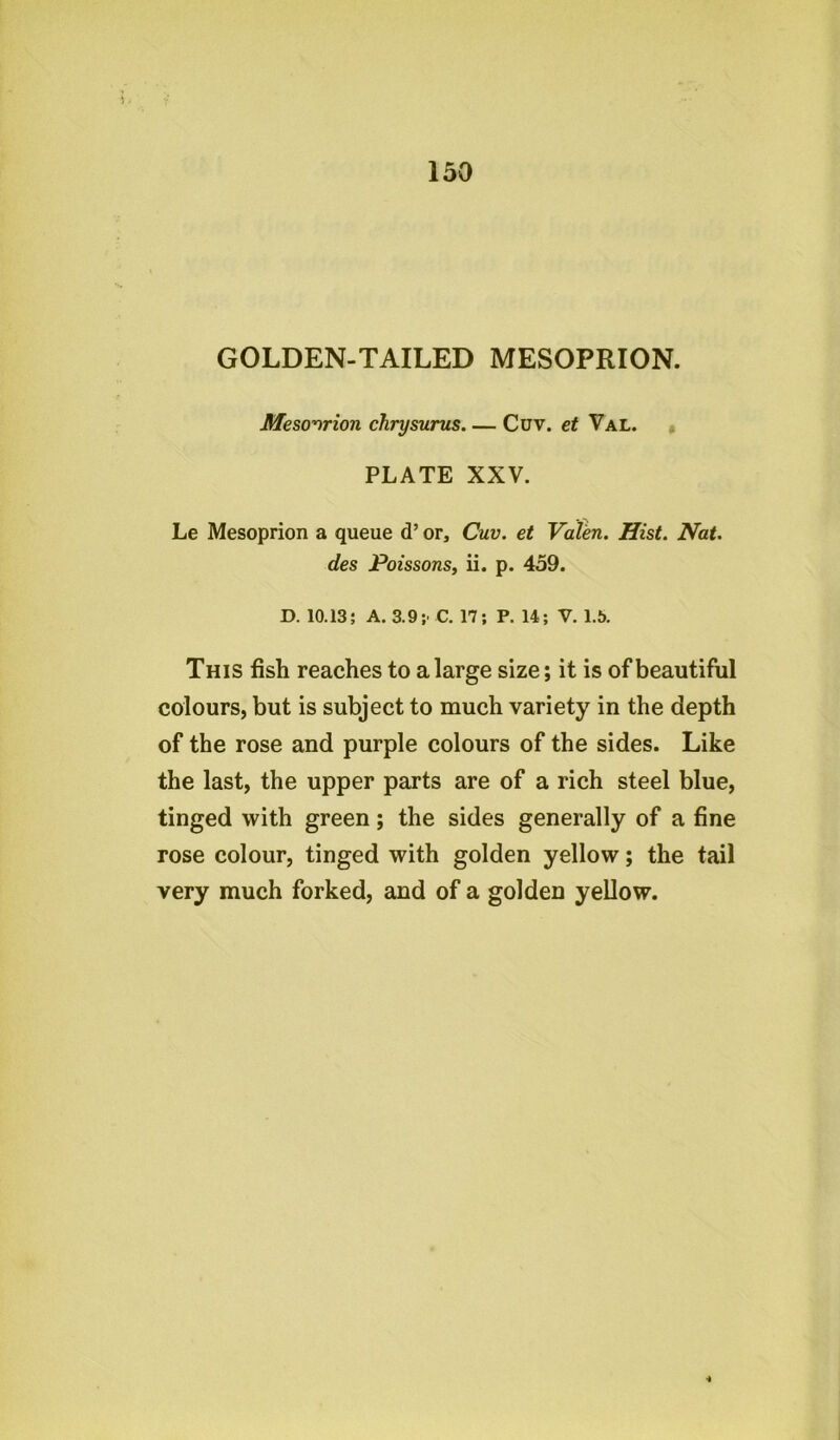 GOLDEN-TAILED MESOPRION. Mesoprion chrysurus Cuv. et Val. PLATE XXV. Le Mesoprion a queue d’ orj Cuv. et Valen. Hist. Nat. des Poissons, ii. p. 459. D. 10.13; A. 3.9 ;• C. 17; P. 14; V. 1.5. This fish reaches to a large size; it is of beautiful colours, but is subject to much variety in the depth of the rose and purple colours of the sides. Like the last, the upper parts are of a rich steel blue, tinged with green; the sides generally of a fine rose colour, tinged with golden yellow; the tail very much forked, and of a golden yellow. •»