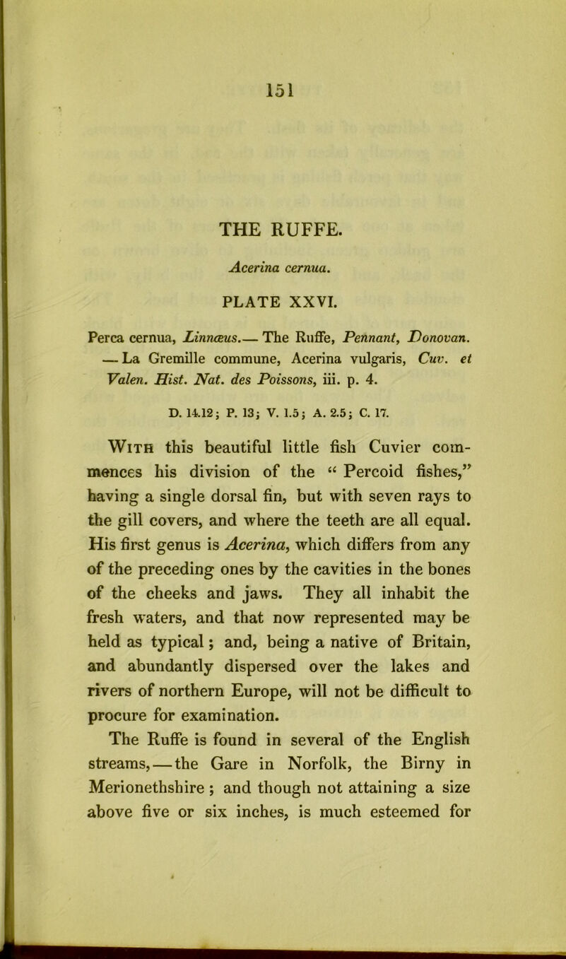 THE RUFFE. Acerina cernua. PLATE XXVI. Perea cernua, Linnoeus The Ruffe, Pennant, Donovan. — La Gremille commune, Acerina vulgaris, Cuv. et Valen. Hist. Nat. des Poissons, iii. p. 4. D. 14.12; P. 13; V. 1.5; A. 2.5; C. 17. With this beautiful little fish Cuvier com- mences his division of the “ Percoid fishes,” having a single dorsal fin, but with seven rays to the gill covers, and where the teeth are all equal. His first genus is Acerina, which differs from any of the preceding ones by the cavities in the bones of the cheeks and jaws. They all inhabit the fresh waters, and that now represented may be held as typical; and, being a native of Britain, and abundantly dispersed over the lakes and rivers of northern Europe, will not be difficult to procure for examination. The Ruffe is found in several of the English streams, — the Gare in Norfolk, the Birny in Merionethshire ; and though not attaining a size above five or six inches, is much esteemed for