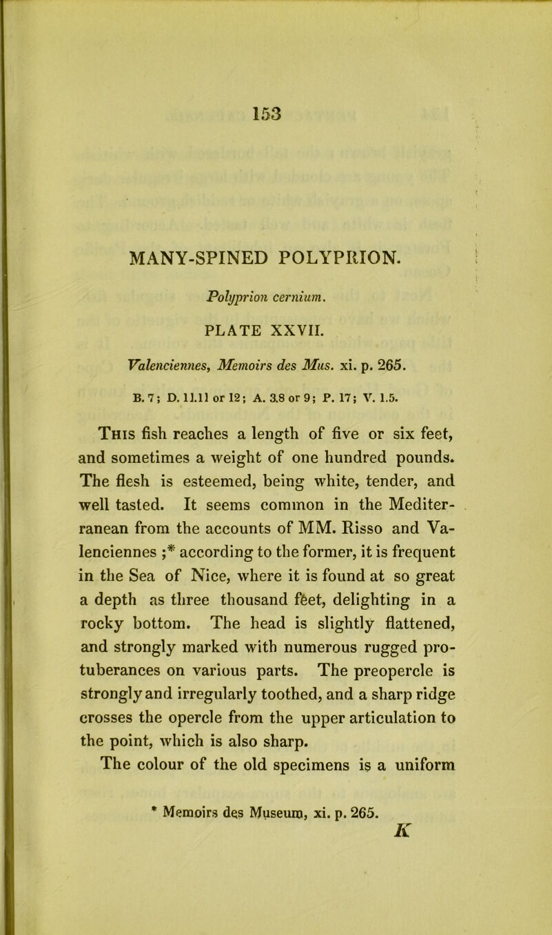 MANY-SPINED POLYPRION. Polyprion cernium. PLATE XXVII. Valenciennes, Memoirs des Mas. xi. p. 265. B. 7; D. 11.11 or 12; A. 3.8 or 9; P. 17; V. 1.5. This fish reaches a length of five or six feet, and sometimes a weight of one hundred pounds. The flesh is esteemed, being white, tender, and well tasted. It seems common in the Mediter- ranean from the accounts of MM. Risso and Va- lenciennes ;* according to the former, it is frequent in the Sea of Nice, where it is found at so great a depth as three thousand ffeet, delighting in a rocky bottom. The head is slightly flattened, and strongly marked with numerous rugged pro- tuberances on various parts. The preopercle is strongly and irregularly toothed, and a sharp ridge crosses the opercle from the upper articulation to the point, which is also sharp. The colour of the old specimens is a uniform * Memoirs des Museum, xi. p. 265. K