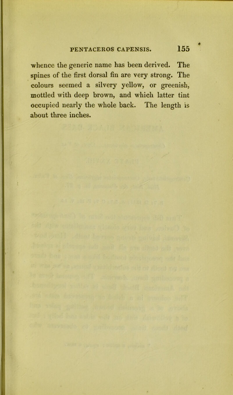 whence the generic name has been derived. The spines of the first dorsal fin are very strong. The colours seemed a silvery yellow, or greenish, mottled with deep brown, and which latter tint occupied nearly the whole back. The length is about three inches.