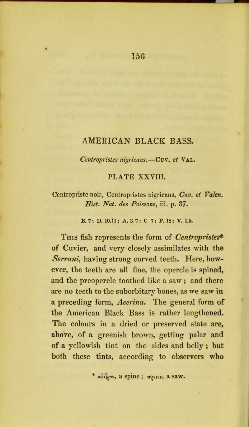 AMERICAN BLACK BASS. Centropristes nigricans Cuv. et Val. PLATE XXVIII. Centropriste noir, Centropristes nigricans, Cuv. et Valen. Hist. Nat. des Poissons, iii. p. 37. B. 7; D. 10.11; A. a 7; C 7; P. 18; V. 1.5. This fish represents the form of Centropristes* of Cuvier, and very closely assimilates with the Serrani, having strong curved teeth. Here, how- ever, the teeth are all fine, the opercle is spined, and the preopercle toothed like a saw; and there are no teeth to the suborbitary bones, as we saw in a preceding form, Acerina. The general form of the American Black Bass is rather lengthened. The colours in a dried or preserved state are, above, of a greenish brown, getting paler and of a yellowish tint on the sides and belly ; but both these tints, according to observers who * xsfyay, a spine ; a saw.