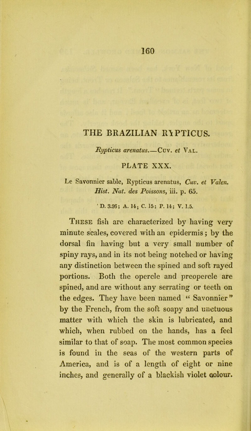 THE BRAZILIAN R1PTICUS. Rypticus arenatus Cuv. et Val. PLATE XXX. Le Savonnier sable, Rypticus arenatus, Cuv. et Valeiu Hist. Nat. des Poissons, iii. p. 65. 'D. 3.26; A. 14; C. 35; P. 14; V. 1.5. These fish are characterized by having very minute scales, covered with an epidermis; by the dorsal fin having but a very small number of spiny rays, and in its not being notched or having any distinction between the spined and soft rayed portions. Both the opercle and preopercle are spined, and are without any serrating or teeth on the edges. They have been named “ Savonnier ” by the French, from the soft soapy and unctuous matter with which the skin is lubricated, and which, when rubbed on the hands, has a feel similar to that of soap. The most common species is found in the seas of the western parts of America, and is of a length of eight or nine inches, and generally of a blackish violet colour.