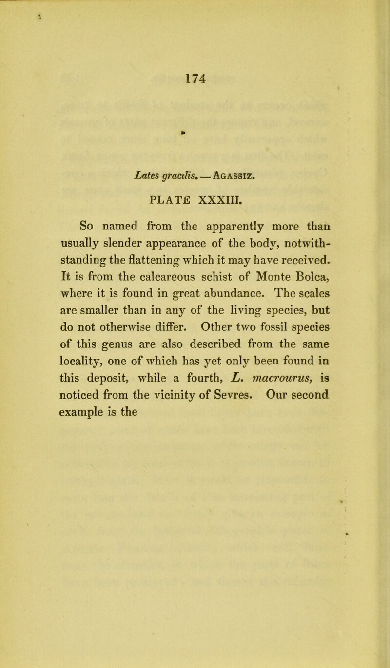 * Lates gracilis. — Agassiz. PLATE XXXIII. So named from the apparently more than usually slender appearance of the body, notwith- standing the flattening which it may have received. It is from the calcareous schist of Monte Bolca, where it is found in great abundance. The scales are smaller than in any of the living species, but do not otherwise differ. Other two fossil species of this genus are also described from the same locality, one of which has yet only been found in this deposit, while a fourth, L. macrourus, is noticed from the vicinity of Sevres. Our second example is the