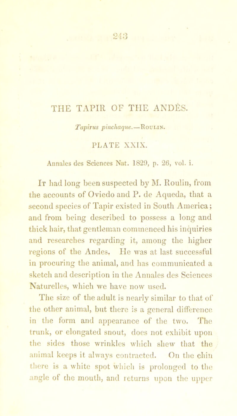 213 THE TAPIR OF THE ANDES. Tapirtis pinchaque.—Boulin. PLATE XXIX. Annales (les Sciences Nat. 1829, p. 26, vol. i. It had long been suspected by M. Roulin, from the accounts of Oviedo and P. de Aqueda, that a second species of Tapir existed in South America; and from being described to possess a long and thick hair, that gentleman commenced his inquiries and researches regarding it, among the higher regions of the Andes. He was at last successful in procuring the animal, and has communicated a sketch and description in the Annales des Sciences Naturellcs, which we have now used. The size of the adult is nearly similar to that of the other animal, but there is a general difference in the form and appearance of the two. The trunk, or elongated snout, does not exhibit upon the sides those wrinkles which shew that the animal keeps it always contracted. On the chin tlierc is a white spot which is prolonged to the angle of the mouth, and returns upon the upper