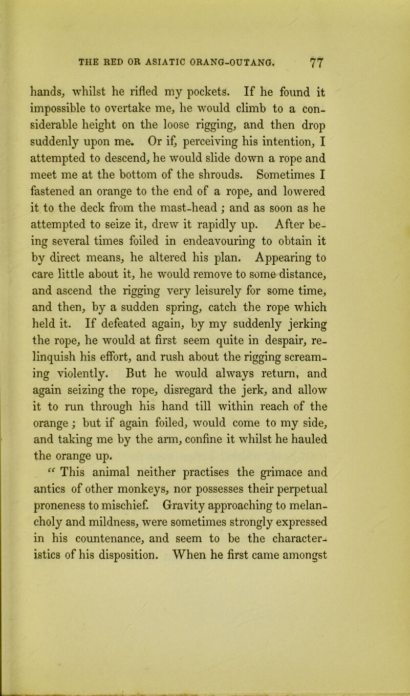 handsj whilst he rifled my pockets. If he found it impossible to overtake me, he would climb to a con- siderable height on the loose rigging, and then drop suddenly upon me. Or if, perceiving his intention, I attempted to descend, he would slide down a rope and meet me at the bottom of the shrouds. Sometimes I fastened an orange to the end of a rope, and lowered it to the deck from the mast-head; and as soon as he attempted to seize it, drew it rapidly up. After be- ing several times foiled in endeavouring to obtain it by direct means, he altered his plan. Appearing to care little about it, he would remove to some distance, and ascend the rigging very leisurely for some time, and then, by a sudden spring, catch the rope which held it. If defeated again, by my suddenly jerking the rope, he would at first seem quite in despair, re- linquish his effort, and rush about the rigging scream- ing violently. But he would always return, and again seizing the rope, disregard the jerk, and allow it to run through his hand till within reach of the orange; but if again foiled, would come to my side, and taking me by the arm, confine it whilst he hauled the orange up. This animal neither practises the grimace and antics of other monkeys, nor possesses their perpetual proneness to mischief. Gravity approaching to melan- choly and mildness, were sometimes strongly expressed in his countenance, and seem to be the character- istics of his disposition. When he first came amongst