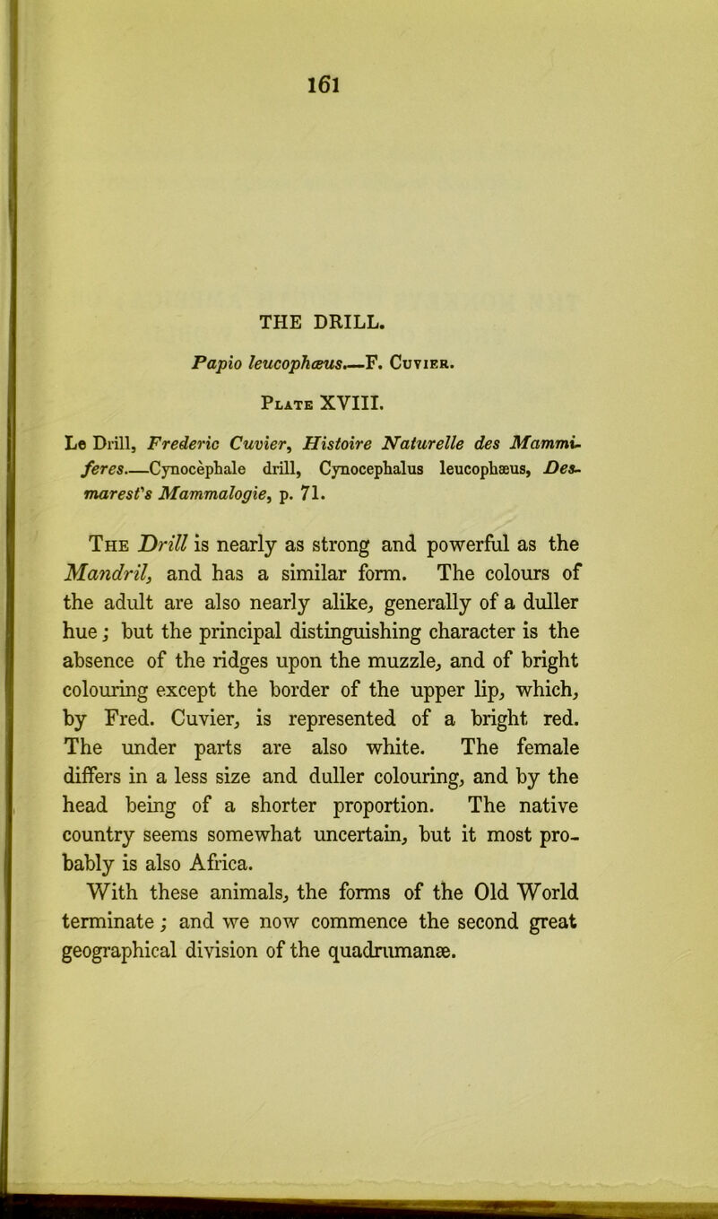 THE DRILL. Papio leucophceus.—F. Cuvier. Plate XVIII. Le Drill, Frederic Cuvier^ Histoire Naturelle des Mammi^ feres Cynocephale drill, Cynoceplialus leucophseus, Des- maresfs Mammalogie, p. 71. The Drill is nearly as strong and powerful as the Mmidril, and has a similar form. The colours of the adult are also nearly alike, generally of a duller hue; but the principal distinguishing character is the absence of the ridges upon the muzzle, and of bright colouring except the border of the upper lip, which, by Fred. Cuvier, is represented of a bright red. The under parts are also white. The female differs in a less size and duller colouring, and by the head being of a shorter proportion. The native country seems somewhat uncertain, but it most pro- bably is also Africa. With these animals, the forms of the Old World terminate; and we now commence the second great geographical division of the quadnunanae.