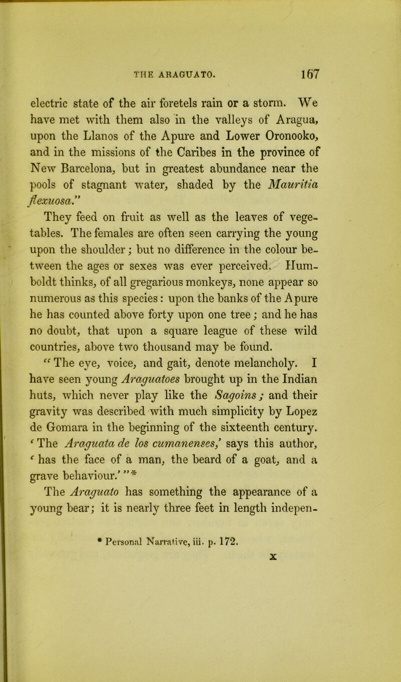 electric state of the air foretels rain or a storm. We have met with them also in the valleys of Aragua, upon the Llanos of the Apure and Lower Oronooko, and in the missions of the Caribes in the province of New Barcelona, but in greatest abundance near the pools of stagnant water, shaded by the Mauritia fiexuosa.” They feed on fruit as well as the leaves of vege- tables. The females are often seen carrying the young upon the shoulder; but no difference in the colour be- tween the ages or sexes was ever perceived. Hum- boldt thinks, of all gregarious monkeys, none appear so numerous as this species: upon the banks of the A pure he has counted above forty upon one tree; and he has no doubt, that upon a square league of these wild countries, above two thousand may be found. The eye, voice, and gait, denote melancholy. I have seen young Araguatoes brought up in the Indian huts, which never play like the Sagoins; and their gravity was described with much simplicity by Lopez de Gomara in the beginning of the sixteenth century. The Araguata de los cumanenses,’ says this author, ^ has the face of a man, the beard of a goat, and a grave behaviour.’ ” * The Araguato has something the appearance of a young bear; it is nearly three feet in length indepen- * Person.'il NamHve, iii. p. 172. X