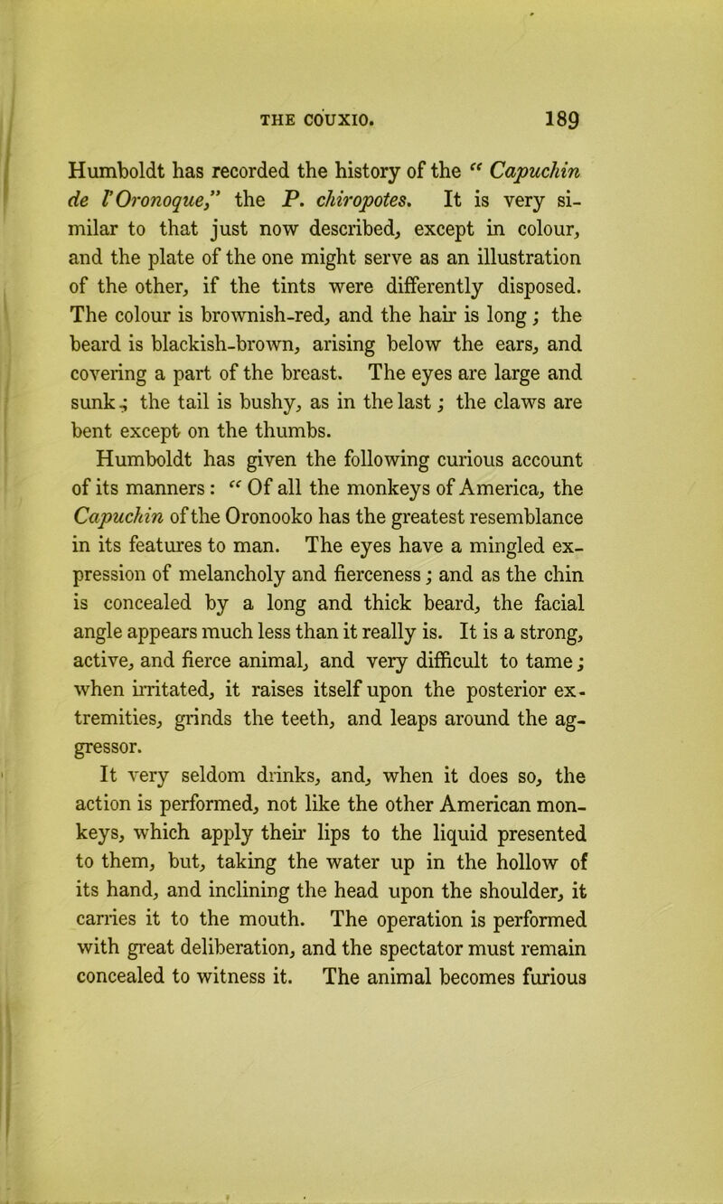 Humboldt has recorded the history of the Capuchin de r Oronoque” the P. chiropotes. It is very si- milar to that just now described, except in colour, and the plate of the one might serve as an illustration of the other, if the tints were differently disposed. The colour is brownish-red, and the hair is long ; the beard is blackish-brown, arising below the ears, and covering a part of the breast. The eyes are large and sunk ^ the tail is bushy, as in the last; the claws are bent except on the thumbs. Humboldt has given the following curious account of its manners: Of all the monkeys of America, the Capuchin of the Oronooko has the greatest resemblance in its featm'es to man. The eyes have a mingled ex- pression of melancholy and fierceness; and as the chin is concealed by a long and thick beard, the facial angle appears much less than it really is. It is a strong, active, and fierce animal, and very difficult to tame; when initated, it raises itself upon the posterior ex- tremities, grinds the teeth, and leaps around the ag- gressor. It very seldom drinks, and, when it does so, the action is performed, not like the other American mon- keys, which apply theu* lips to the liquid presented to them, but, taking the water up in the hollow of its hand, and inclining the head upon the shoulder, it carries it to the mouth. The operation is performed with great deliberation, and the spectator must remain concealed to witness it. The animal becomes furious