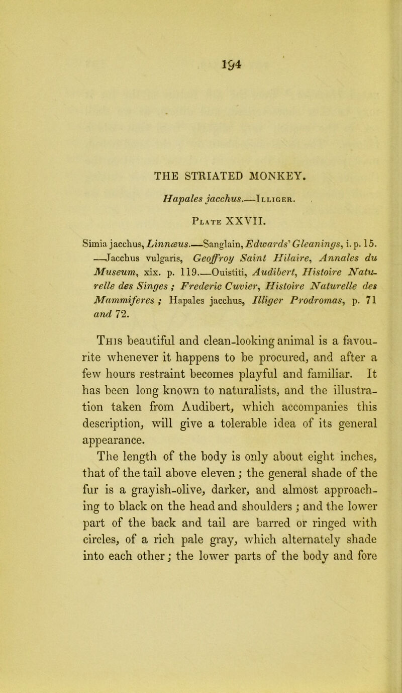 THE STRIATED MONKEY. Hapales jacchus—I l l i g e a. Plate XXVII. Simia jacchus, Edwards''Gleanings, i. p. 15. —Jacchus vulgaris, Geoffroy Saint Hila’ire, Annales du Museum, xix. p, 119 Ouistiti, Aud'ibert, Ilistoire Natu~ relle des Singes ; Frederic Cuvier, Histo'ire Naturelle des Mammiferes ; Hapales jacchus, Illiger Prodromas, p. 71 and 72. This beautiful and clean-looking animal is a favou- rite whenever it happens to be procured, and after a few hours restraint becomes playful and familiar. It has been long known to naturalists, and the illustra- tion taken from Audibert, which accompanies this description, will give a tolerable idea of its general appearance. The length of the body is only about eight inches, that of the tail above eleven ; the general shade of the fur is a grayish-olive, darker, and almost approach- ing to black on the head and shoulders ; and the lower part of the back and tail are barred or ringed with circles, of a rich pale gi'ay, which alternately shade into each other; the lower parts of tlie body and fore