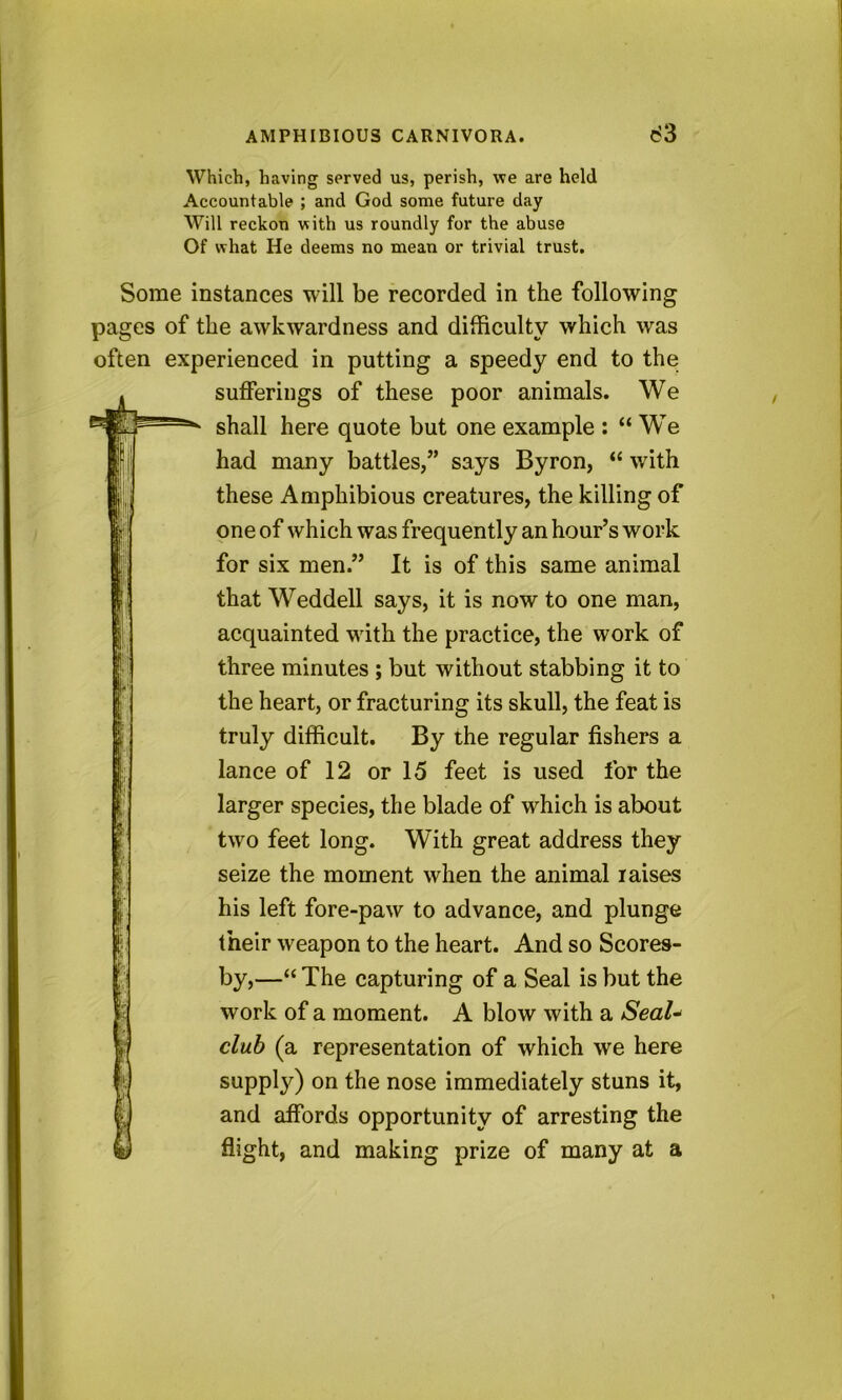 Which, having served us, perish, we are held Accountable ; and God some future day Will reckon with us roundly for the abuse Of what He deems no mean or trivial trust. Some instances will be recorded in the following pages of the awkwardness and difficulty which was often experienced in putting a speedy end to the: sufferings of these poor animals. We shall here quote but one example : “ W^e had many battles/’ says Byron, “ with these Amphibious creatures, the killing of one of which was frequently an hour’s work for six men.” It is of this same animal that Weddell says, it is now to one man, acquainted with the practice, the work of three minutes ; but without stabbing it to the heart, or fracturing its skull, the feat is truly difficult. By the regular fishers a lance of 12 or 15 feet is used for the larger species, the blade of which is about two feet long. With great address they seize the moment when the animal raises his left fore-paw to advance, and plunge their weapon to the heart. And so Scores- by,—“ The capturing of a Seal is but the work of a moment. A blow with a club (a representation of which we here supply) on the nose immediately stuns it, and affords opportunity of arresting the flight, and making prize of many at a