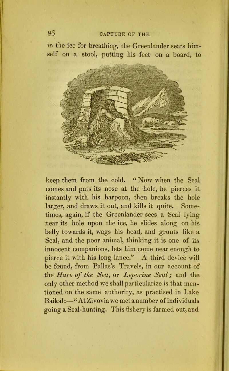 in the ice for breathing, the Greenlander seats him- self on a stool, putting his feet on a board, to keep them from the cold. “ Now when the Seal comes and puts its nose at the hole, he pierces it instantly with his harpoon, then breaks the hole larger, and draws it out, and kills it quite. Some- times, again, if the Greenlander sees a Seal lying near its hole upon the ice, he slides along on his belly towards it, wags his head, and grunts like a Seal, and the poor animal, thinking it is one of its innocent companions, lets him come near enough to pierce it with his long lance.” A third device will be fo-und, from Pallas’s Travels, in our account of the Hare of the Sea, or Leporine Seal; and the only other method we shall particularize is that men- tioned on the same authority, as practised in Lake Baikal:—“ At Zi vovia we met a number of individuals going a Seal-hunting. This fishery is farmed out, and