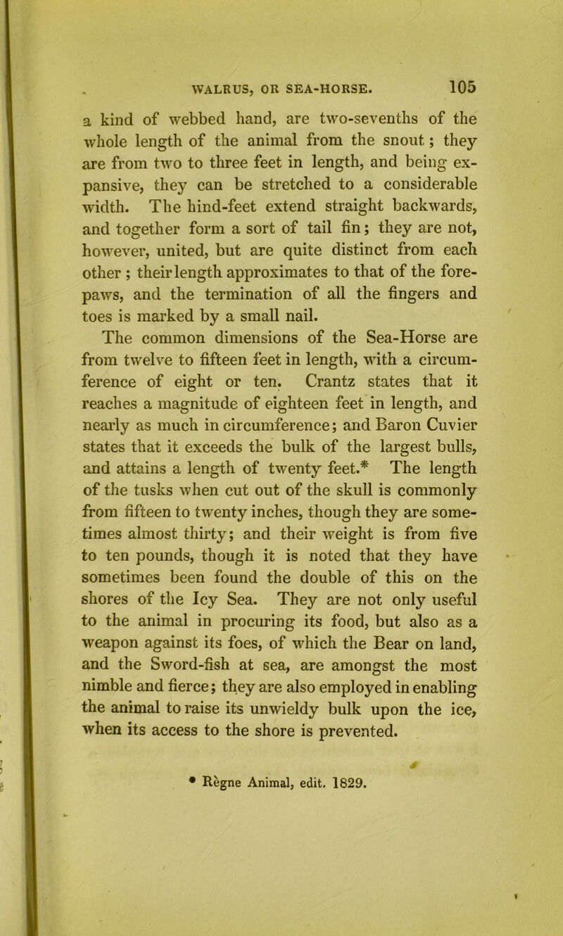 a kind of webbed hand, are two-sevenths of the whole length of the animal from the snout; they are from two to three feet in length, and being ex- pansive, they can be stretched to a considerable width. The hind-feet extend straight backwards, and together form a sort of tail fin; they are not, however, united, but are quite distinct from each other ; their length approximates to that of the fore- paws, and the termination of all the fingers and toes is marked by a small nail. The common dimensions of the Sea-Horse are from twelve to fifteen feet in length, with a circum- ference of eight or ten. Crantz states that it reaches a magnitude of eighteen feet in length, and nearly as much in circumference; and Baron Cuvier states that it exceeds the bulk of the largest bulls, and attains a length of twenty feet.* The length of the tusks when cut out of the skull is commonly from fifteen to twenty inches, though they are some- times almost thirty; and their weight is from five to ten pounds, though it is noted that they have sometimes been found the double of this on the shores of the Icy Sea. They are not only useful to the animal in procuring its food, but also as a weapon against its foes, of which the Bear on land, and the Sword-fish at sea, are amongst the most nimble and fierce; they are also employed in enabling the animal to raise its unwieldy bulk upon the ice, when its access to the shore is prevented. • Regne Animal, edit. 1829.