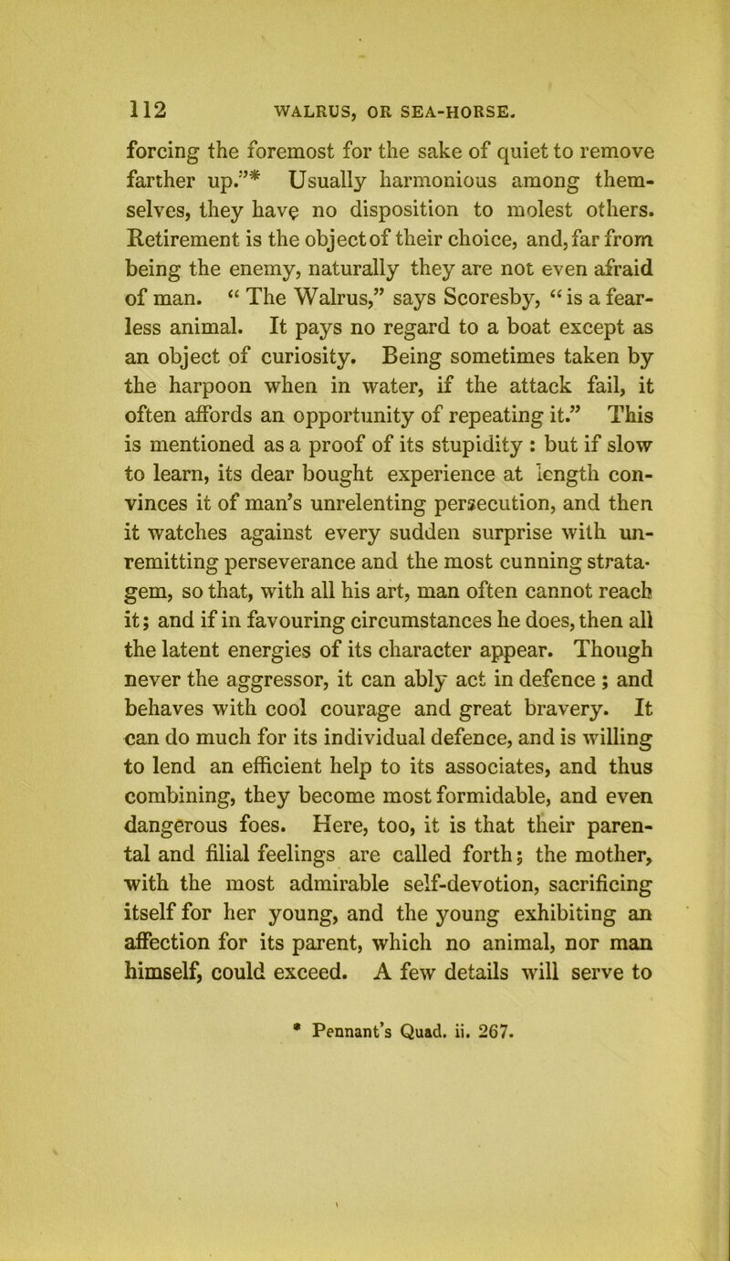 forcing the foremost for the sake of quiet to remove farther up.”* Usually harmonious among them- selves, they have no disposition to molest others. Retirement is the object of their choice, and, far from being the enemy, naturally they are not even afraid of man. “ The Walrus,” says Scoresby, “ is a fear- less animal. It pays no regard to a boat except as an object of curiosity. Being sometimes taken by the harpoon when in water, if the attack fail, it often affords an opportunity of repeating it.” This is mentioned as a proof of its stupidity : but if slow to learn, its dear bought experience at length con- vinces it of man’s unrelenting persecution, and then it watches against every sudden surprise with un- remitting perseverance and the most cunning strata- gem, so that, with all his art, man often cannot reach it; and if in favouring circumstances he does, then all the latent energies of its character appear. Though never the aggressor, it can ably act in defence ; and behaves with cool courage and great bravery. It oan do much for its individual defence, and is willing to lend an efficient help to its associates, and thus combining, they become most formidable, and even dangerous foes. Here, too, it is that their paren- tal and filial feelings are called forth; the mother, with the most admirable self-devotion, sacrificing itself for her young, and the young exhibiting an affection for its parent, which no animal, nor man himself, could exceed. A few details will serve to 0 Pennant’s Quad. ii. 267.