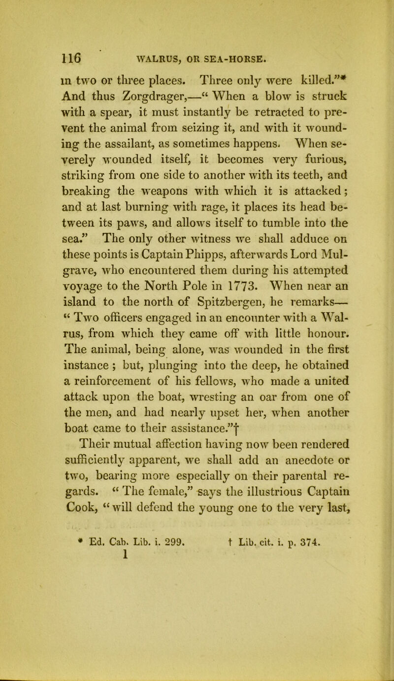 HI two or three places. Three only were killed.”* And thus Zorgdrager,—“ When a blow is struck with a spear, it must instantly be retracted to pre- vent the animal from seizing it, and with it wound- ing the assailant, as sometimes happens. When se- verely wounded itself, it becomes very furious, striking from one side to another with its teeth, and breaking the weapons with which it is attacked; and at last burning with rage, it places its head be- tween its paws, and allows itself to tumble into the sea.” The only other witness we shall adduce on these points is Captain Phipps, afterwards Lord Mul- grave, who encountered them during his attempted voyage to the North Pole in 1773. When near an island to the north of Spitzbergen, he remarks— “ Two officers engaged in an encounter with a Wal- rus, from which they came off with little honour. The animal, being alone, was wounded in the first instance ; but, plunging into the deep, he obtained a reinforcement of his fellows, who made a united attack upon the boat, wresting an oar from one of the men, and had nearly upset her, when another boat came to their assistance.”! Their mutual affection having now been rendered sufficiently apparent, we shall add an anecdote or two, bearing more especially on their parental re- gards. “ The female,” says the illustrious Captain Cook, “ will defend the young one to the very last, * Ed. Cab. Lib. i. 299. t Lib. cit. i. p. 374. 1