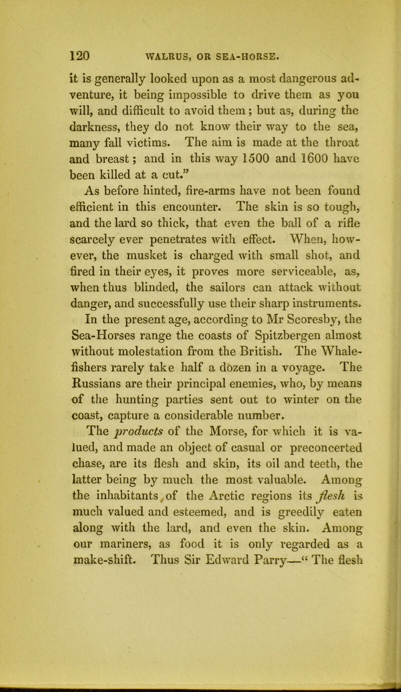 it is generally looked upon as a most dangerous ad- venture, it being impossible to drive them as you will, and difficult to avoid them; but as, during the darkness, they do not know their way to the sea, many fall victims. The aim is made at the throat and breast; and in this way 1500 and 1600 have been killed at a cut.” As before hinted, fire-arms have not been found efficient in this encounter. The skin is so tough, and the lard so thick, that even the ball of a rifle scarcely ever penetrates with effect. When, how- ever, the musket is charged with small shot, and fired in their eyes, it proves more serviceable, as, when thus blinded, the sailors can attack without danger, and successfully use their sharp instruments. In the present age, according to Mr Scoresby, the Sea-Horses range the coasts of Spitzbergen almost without molestation from the British. The Whale- fishers rarely take half a dozen in a voyage. The Russians are their principal enemies, who, by means of the hunting parties sent out to winter on the coast, capture a considerable number. The products of the Morse, for which it is va- lued, and made an object of casual or preconcerted chase, are its flesh and skin, its oil and teeth, the latter being by much the most valuable. Among the inhabitants, of the Arctic regions its flesh is much valued and esteemed, and is greedily eaten along with the lard, and even the skin. Among our mariners, as food it is only regarded as a make-shift. Thus Sir Edward Parry—“ The flesh